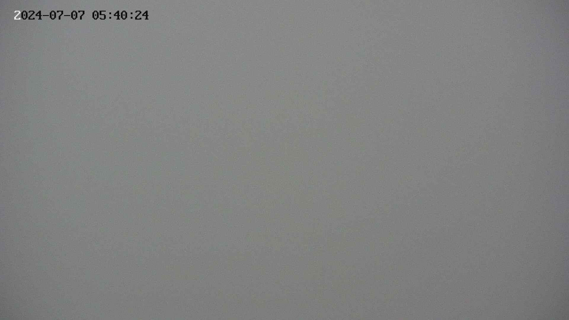 chojo20240707054025.jpg