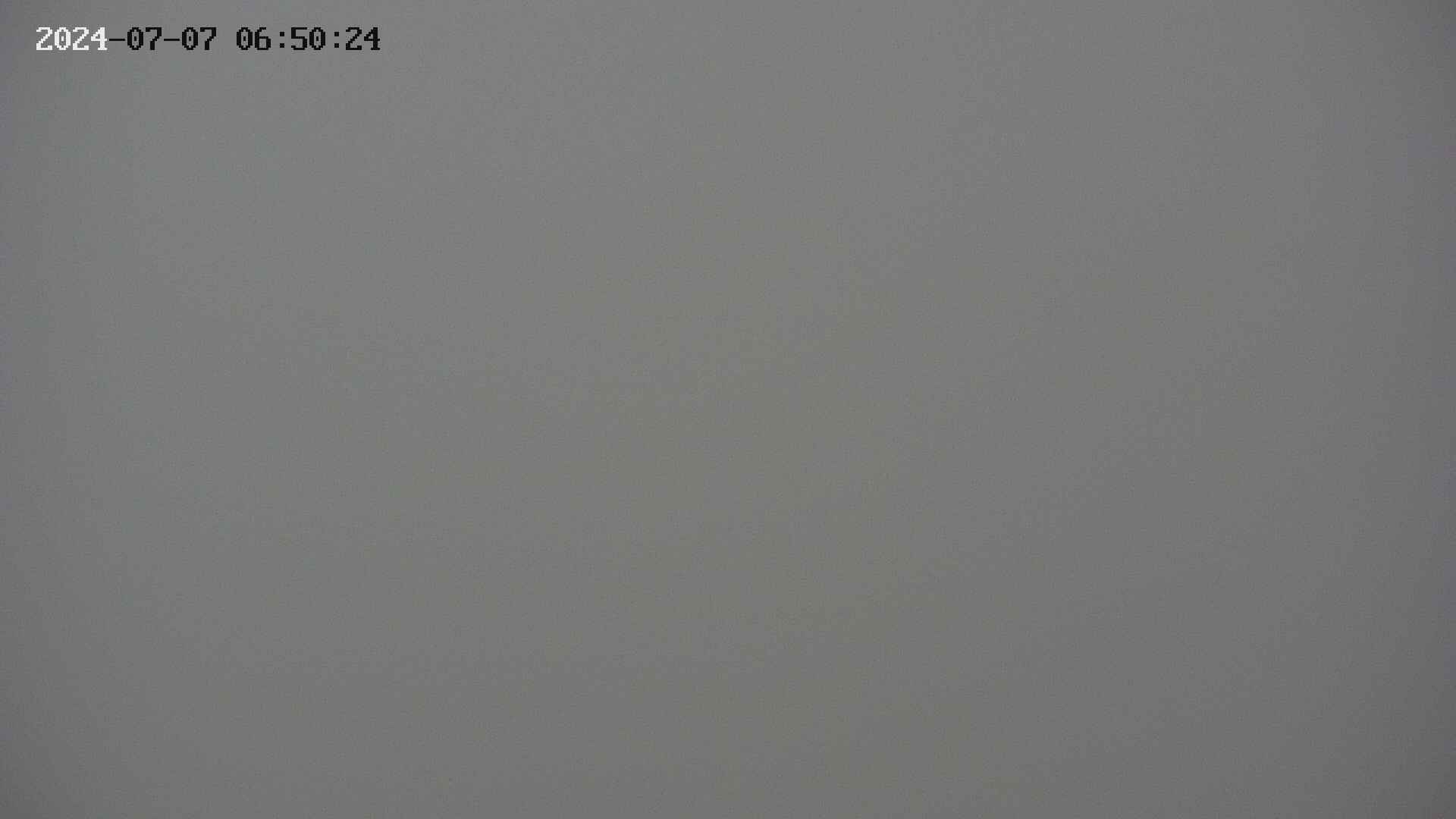 chojo20240707065025.jpg