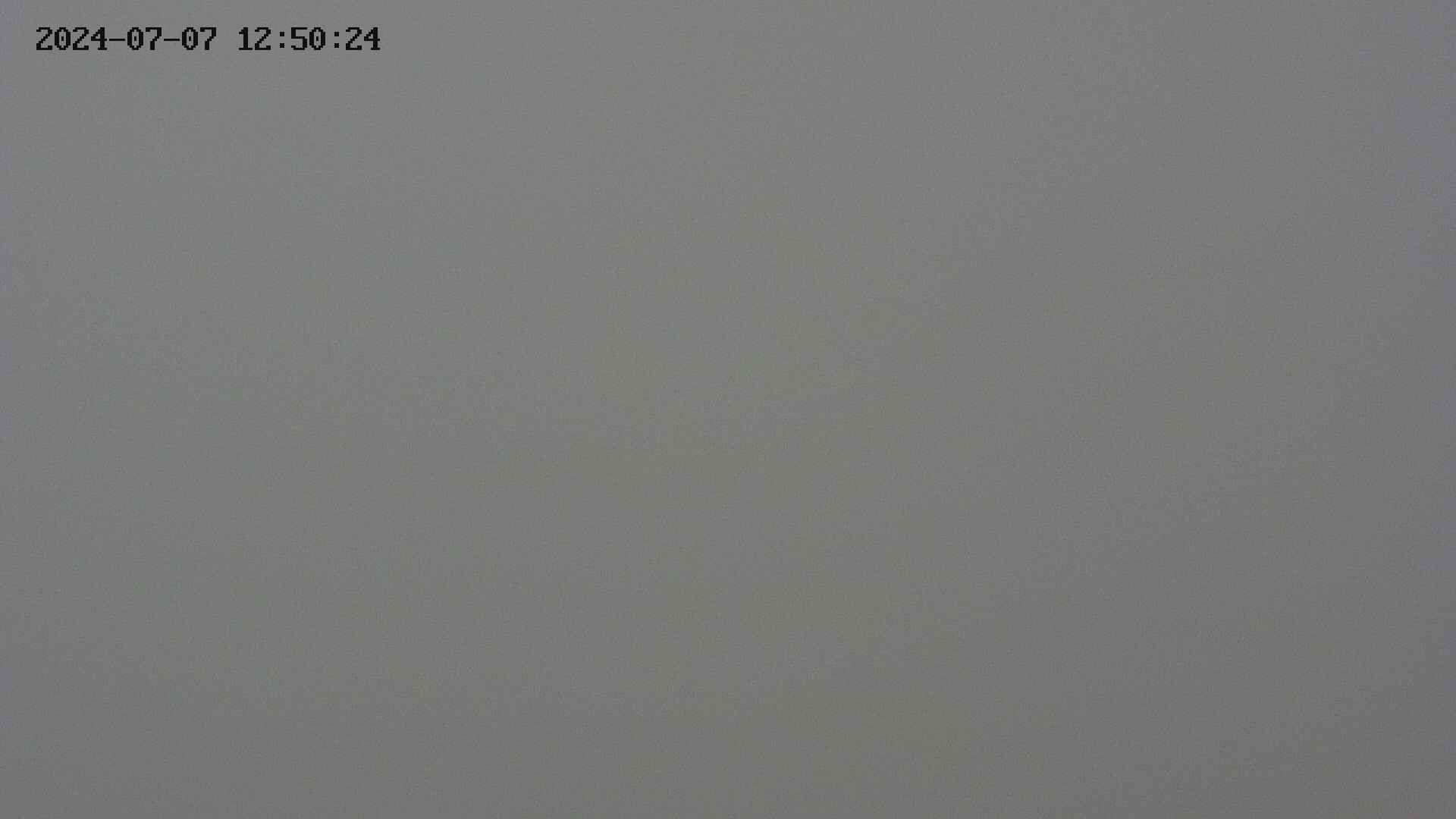 chojo20240707125025.jpg