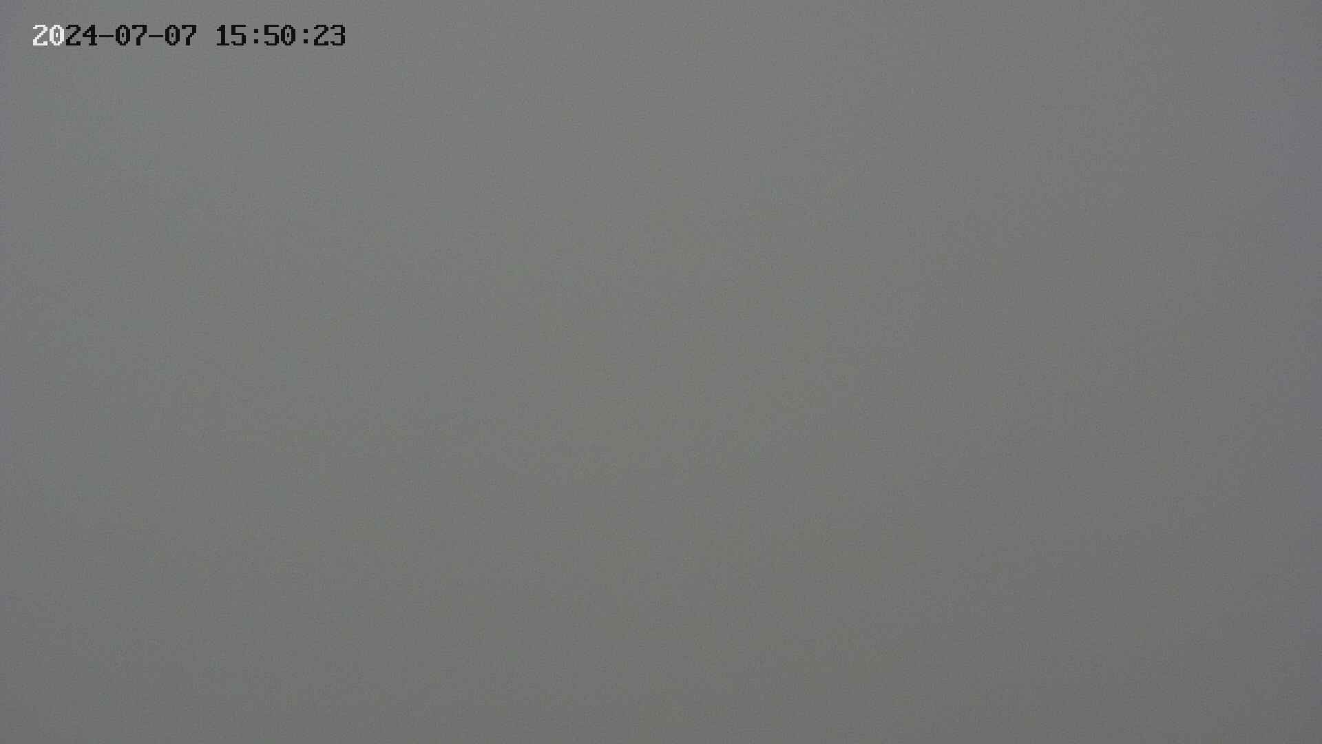 chojo20240707155024.jpg