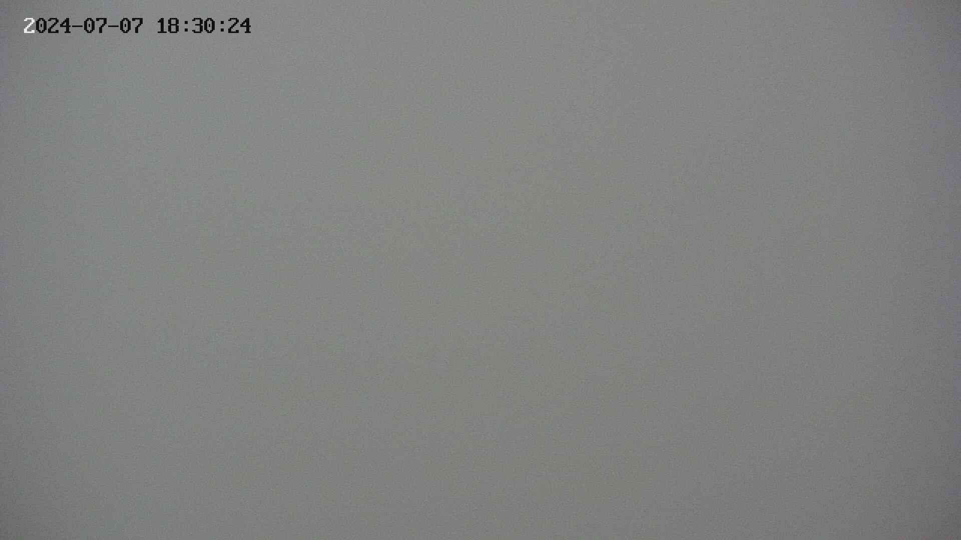 chojo20240707183026.jpg