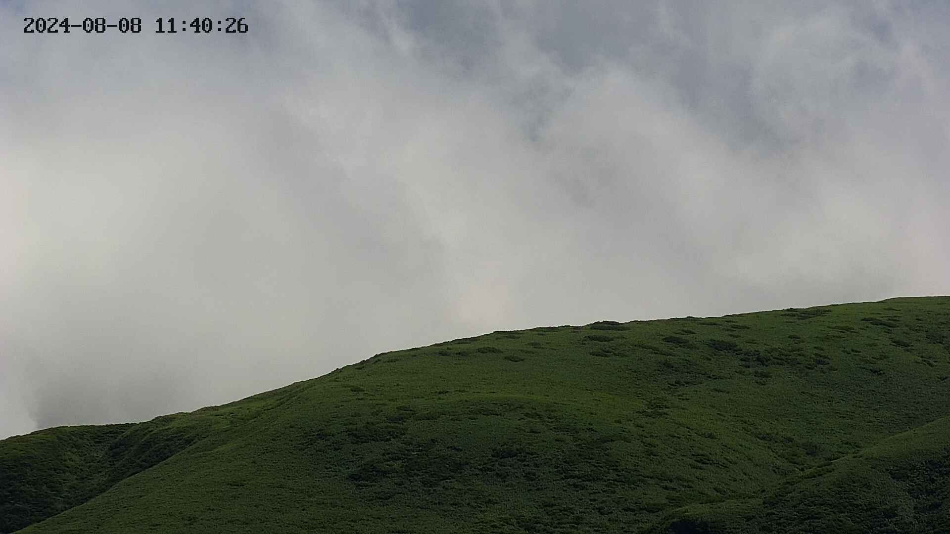 chojo20240808114026.jpg