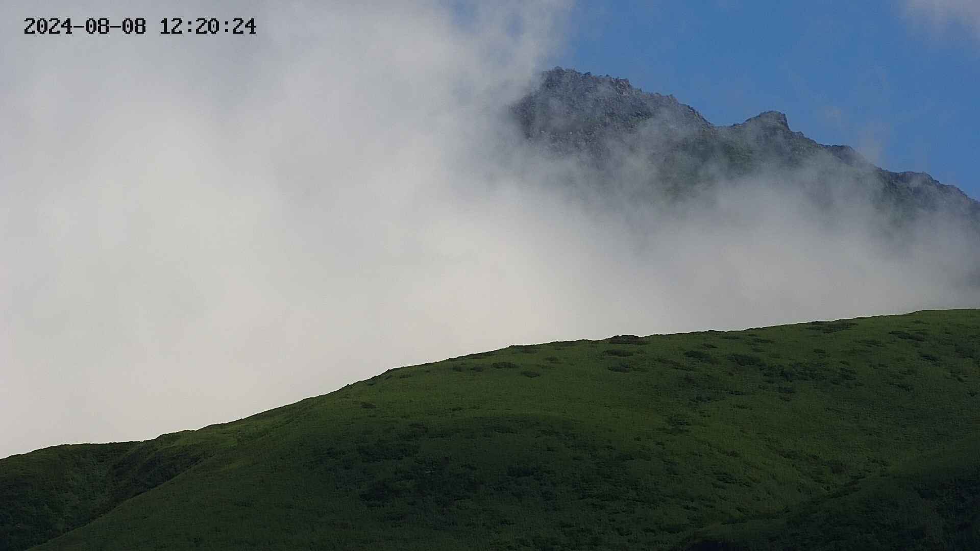 chojo20240808122025.jpg