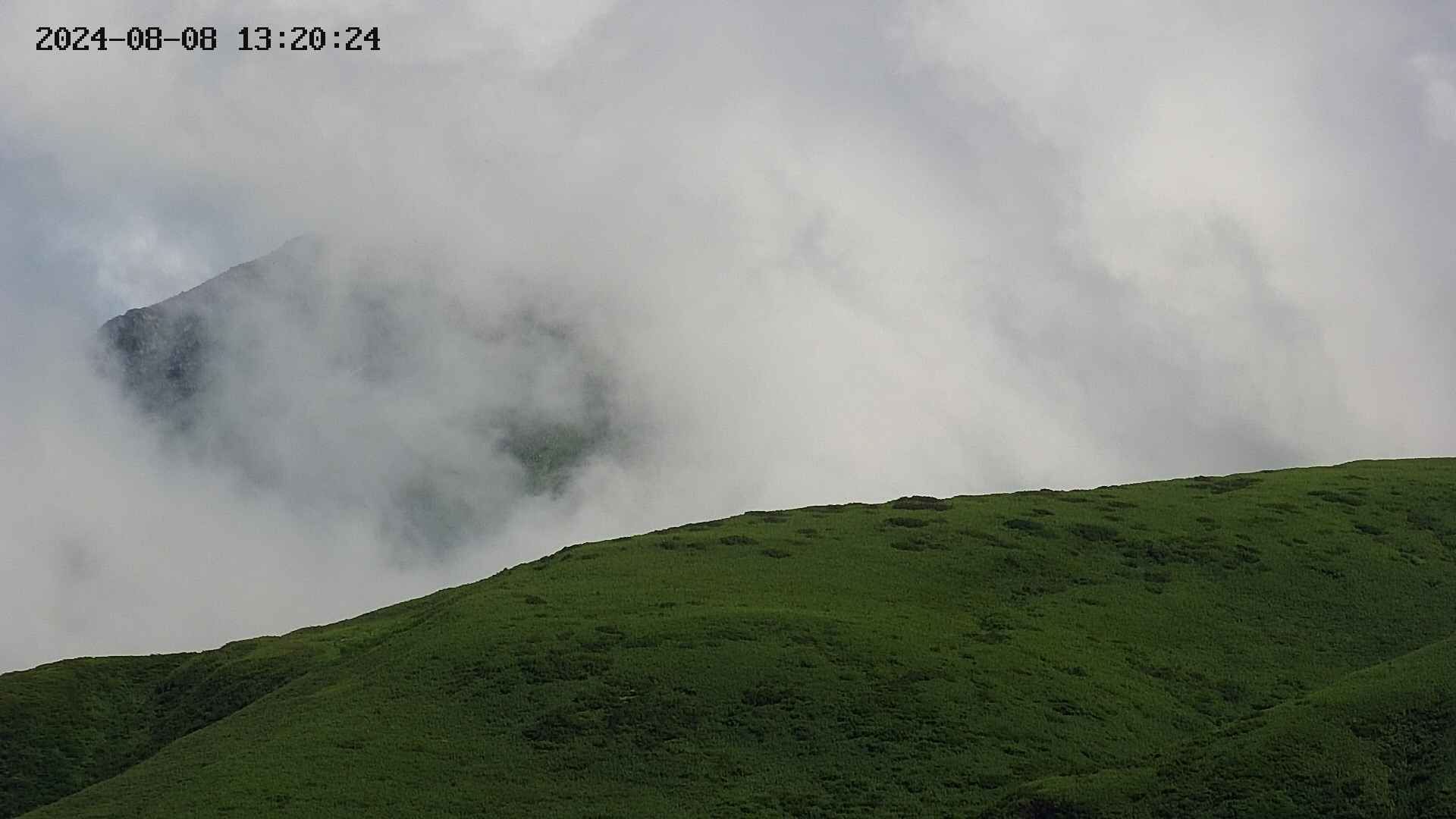 chojo20240808132025.jpg