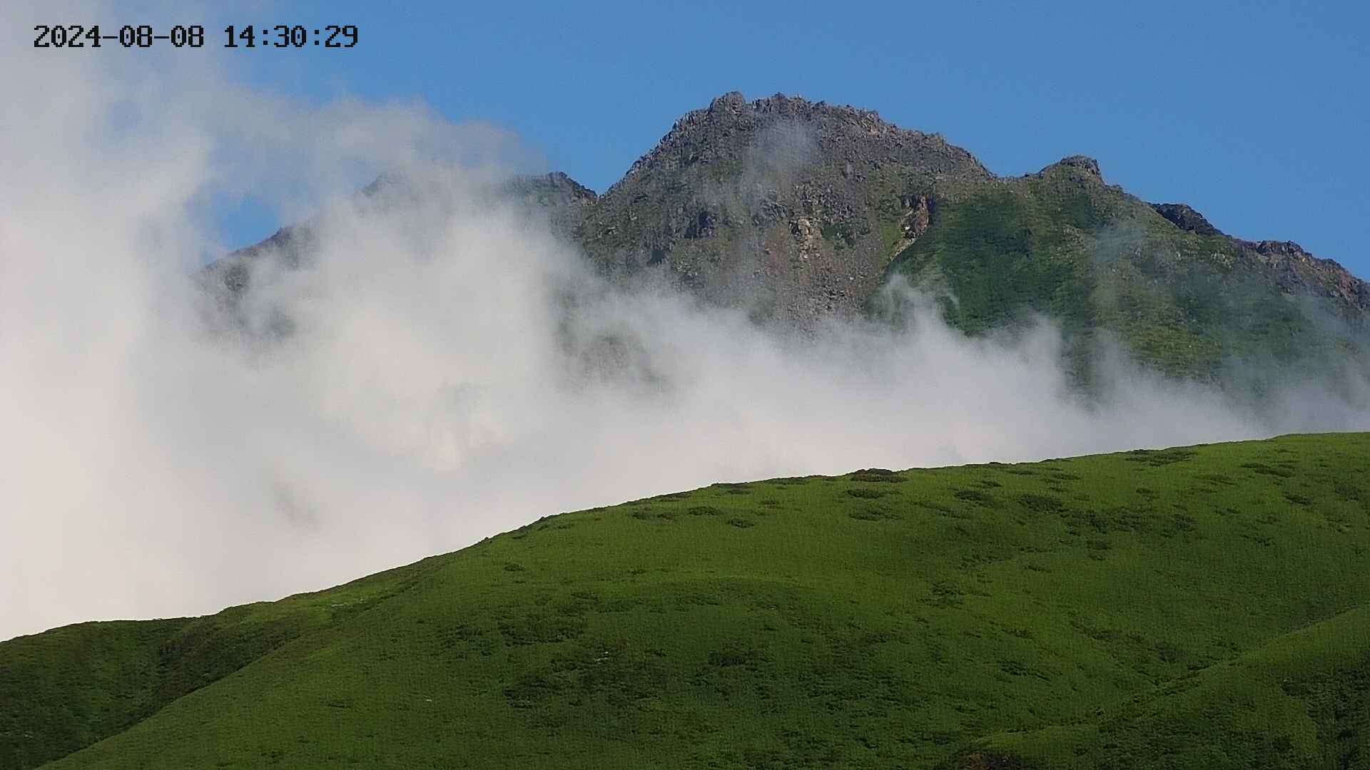 chojo20240808143031.jpg