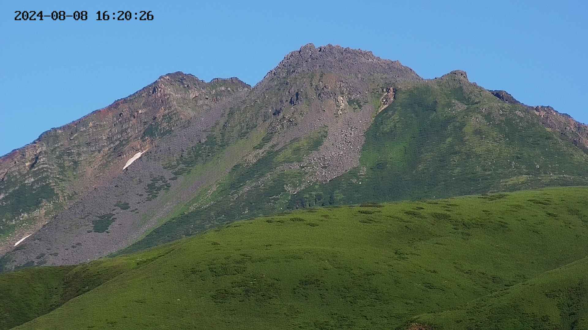 chojo20240808162028.jpg
