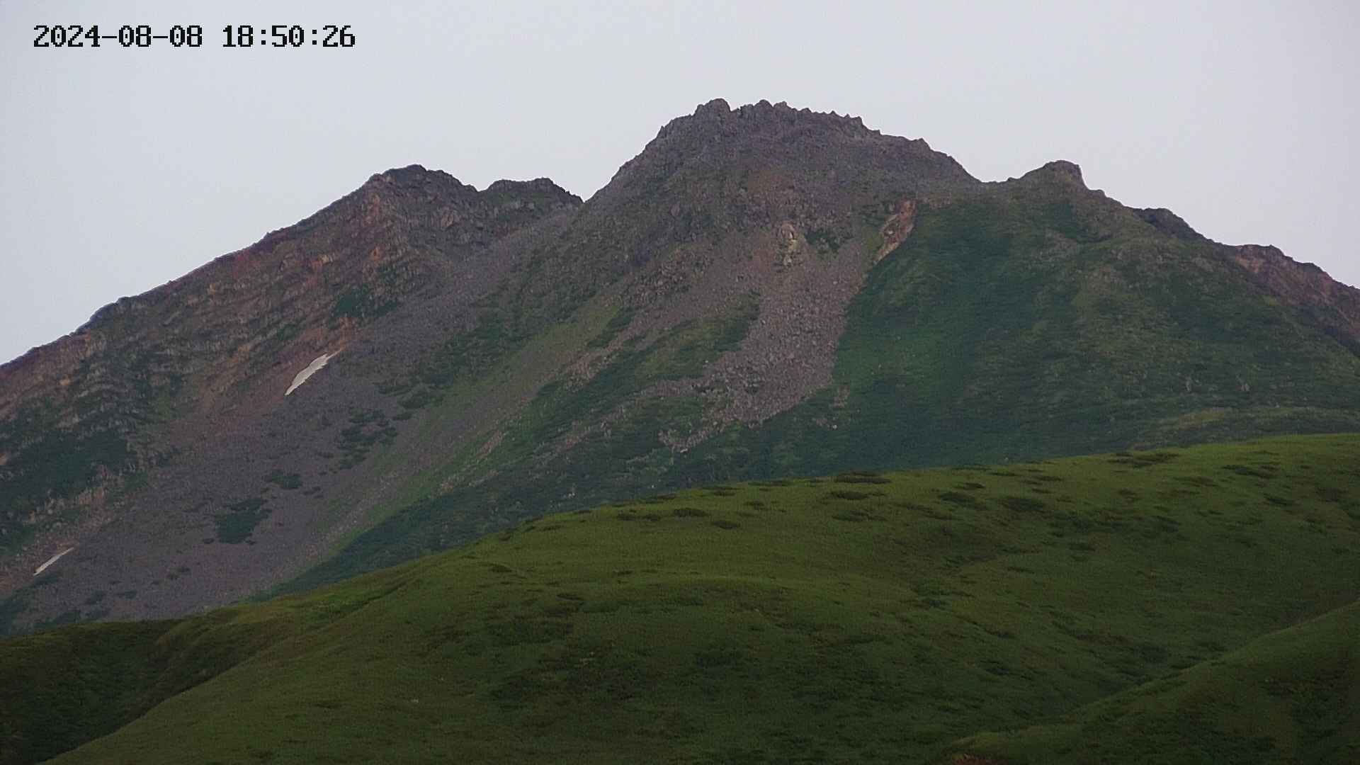 chojo20240808185027.jpg