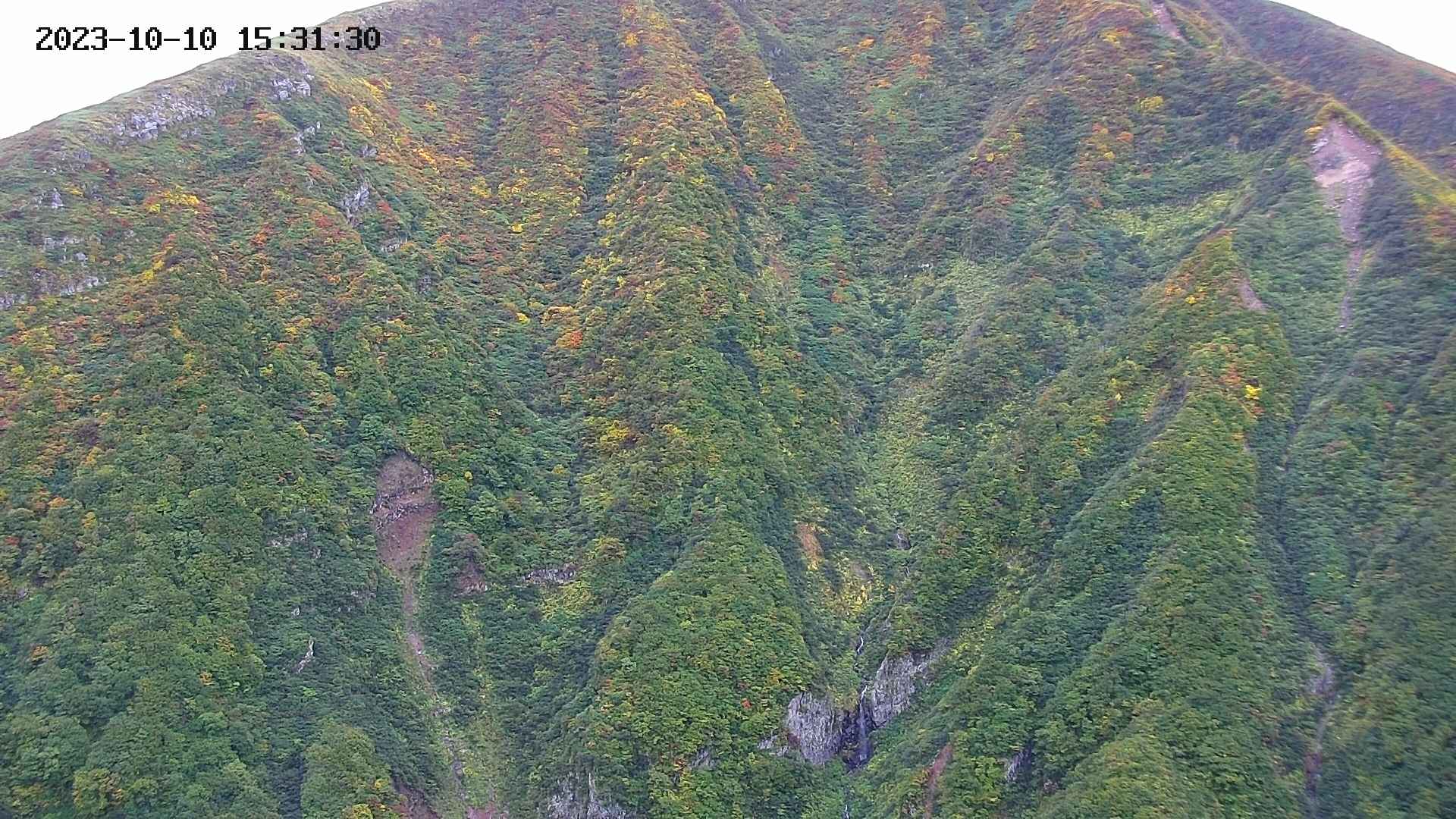keikoku20231010153132.jpg