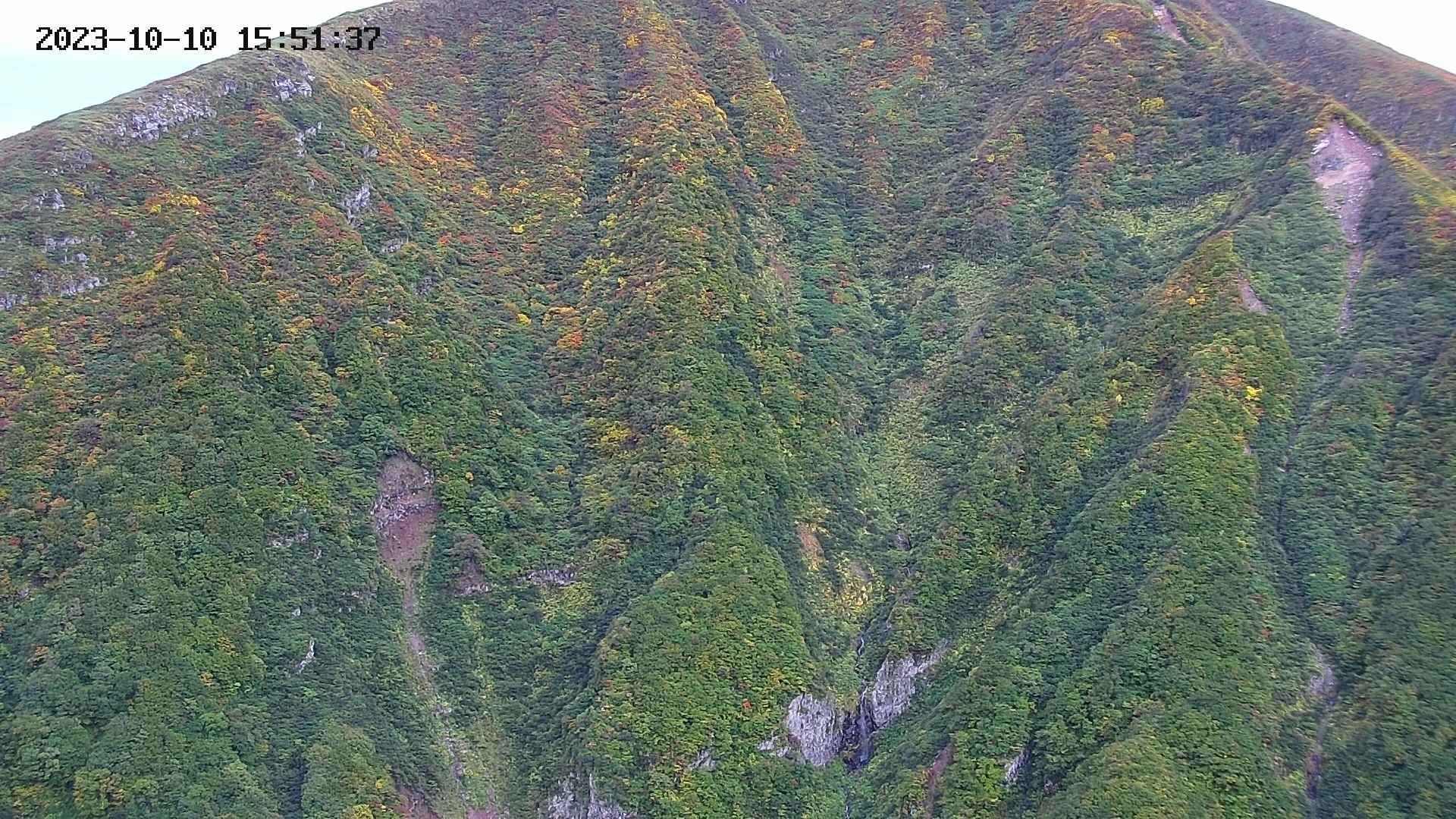 keikoku20231010155139.jpg