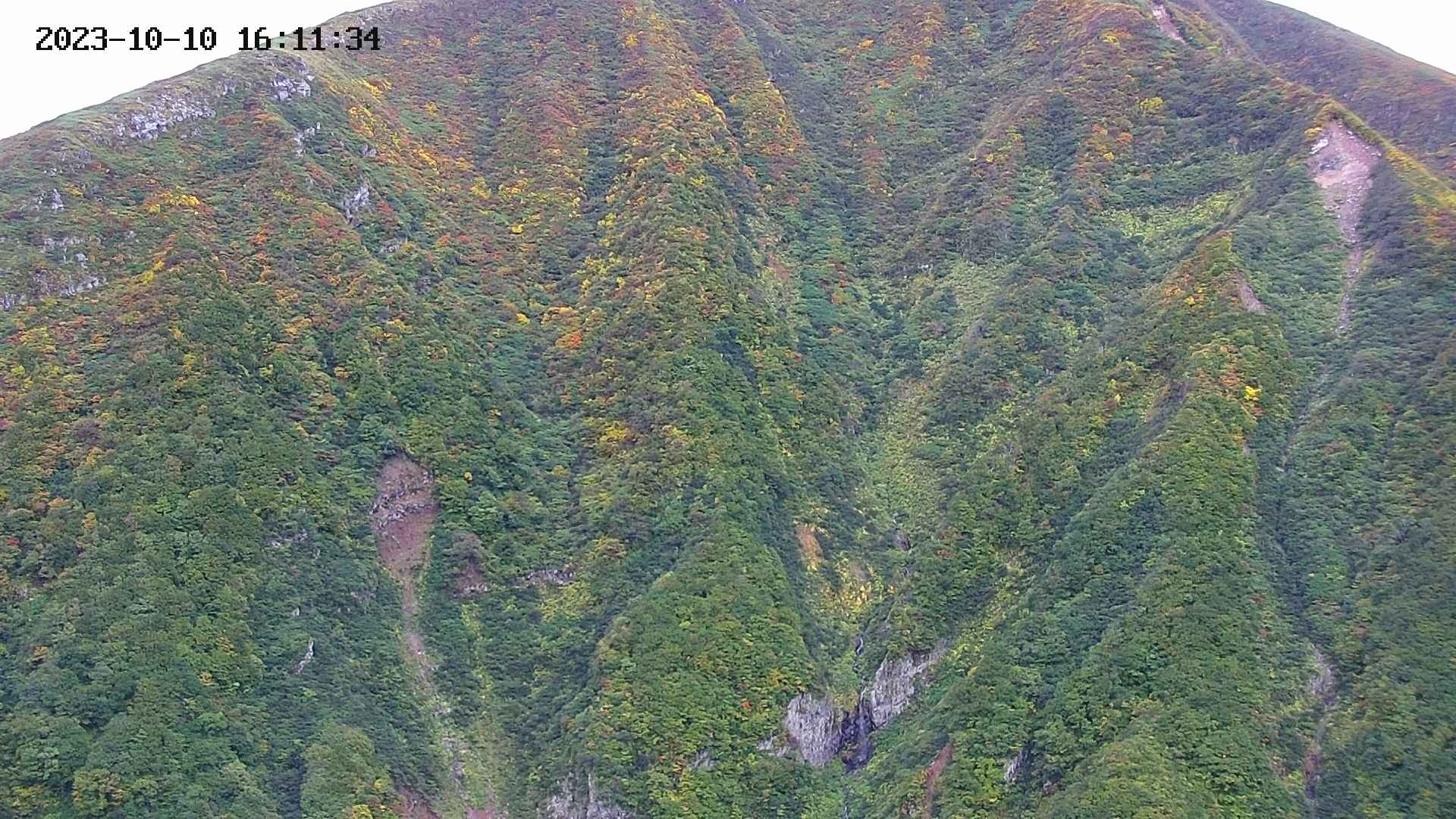 keikoku20231010161135.jpg