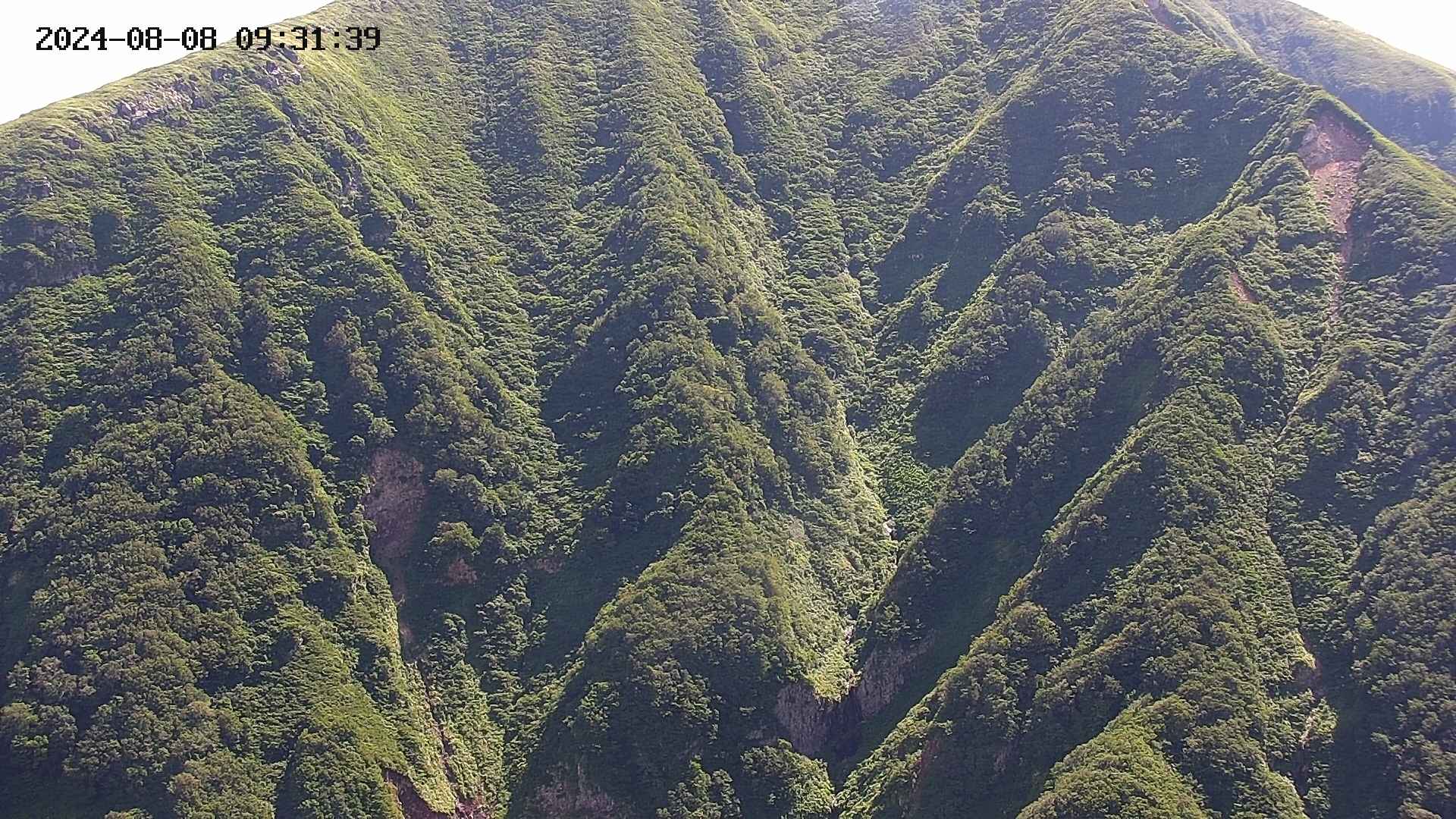 keikoku20240808093141.jpg