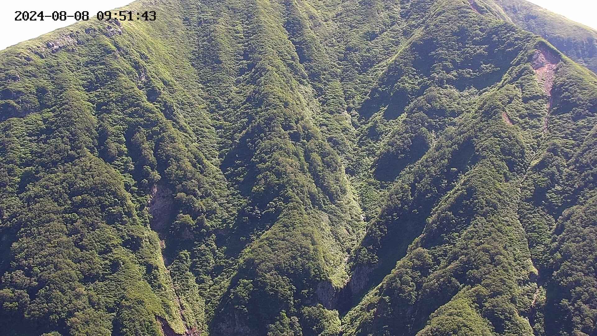 keikoku20240808095144.jpg
