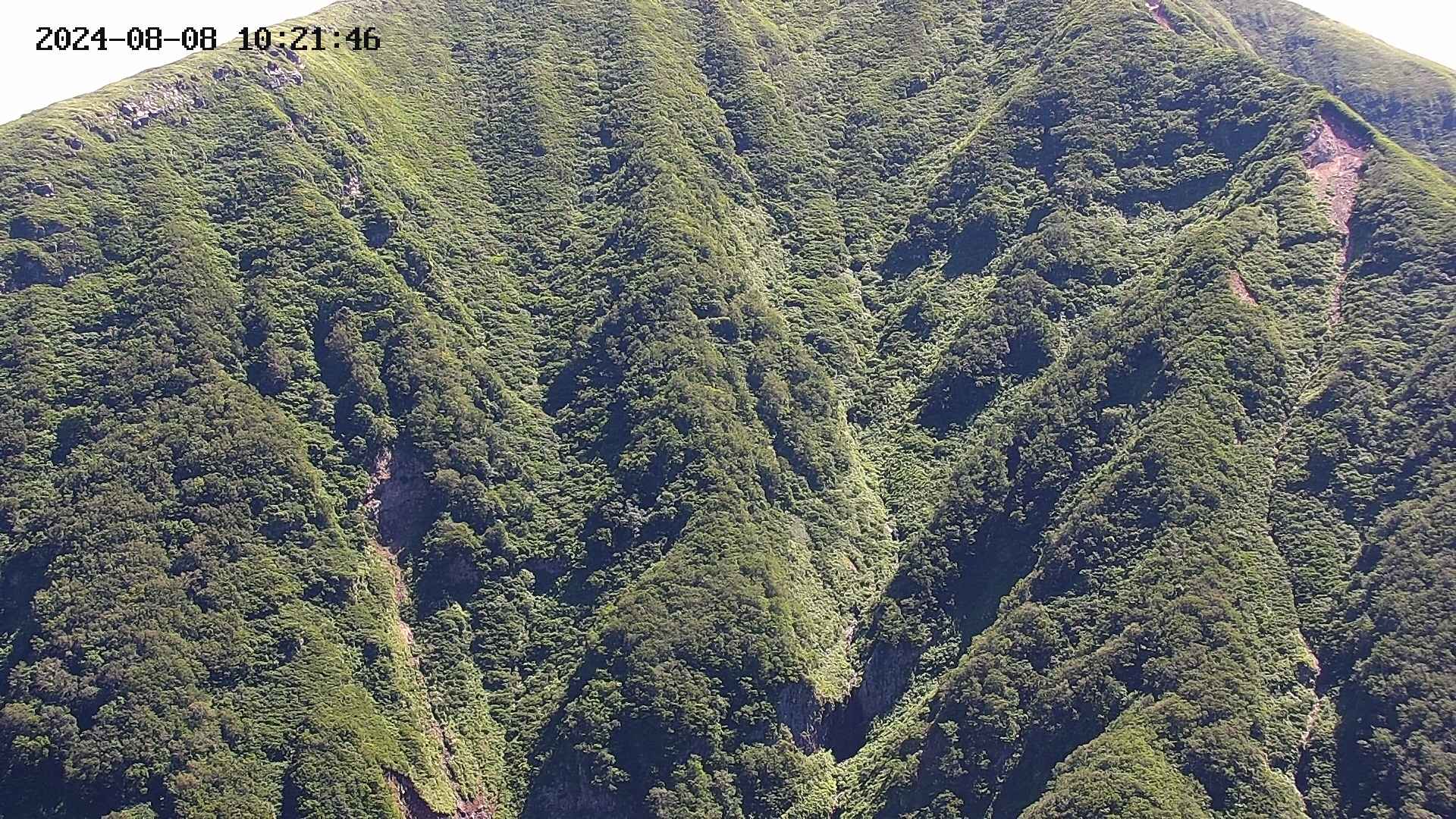 keikoku20240808102148.jpg