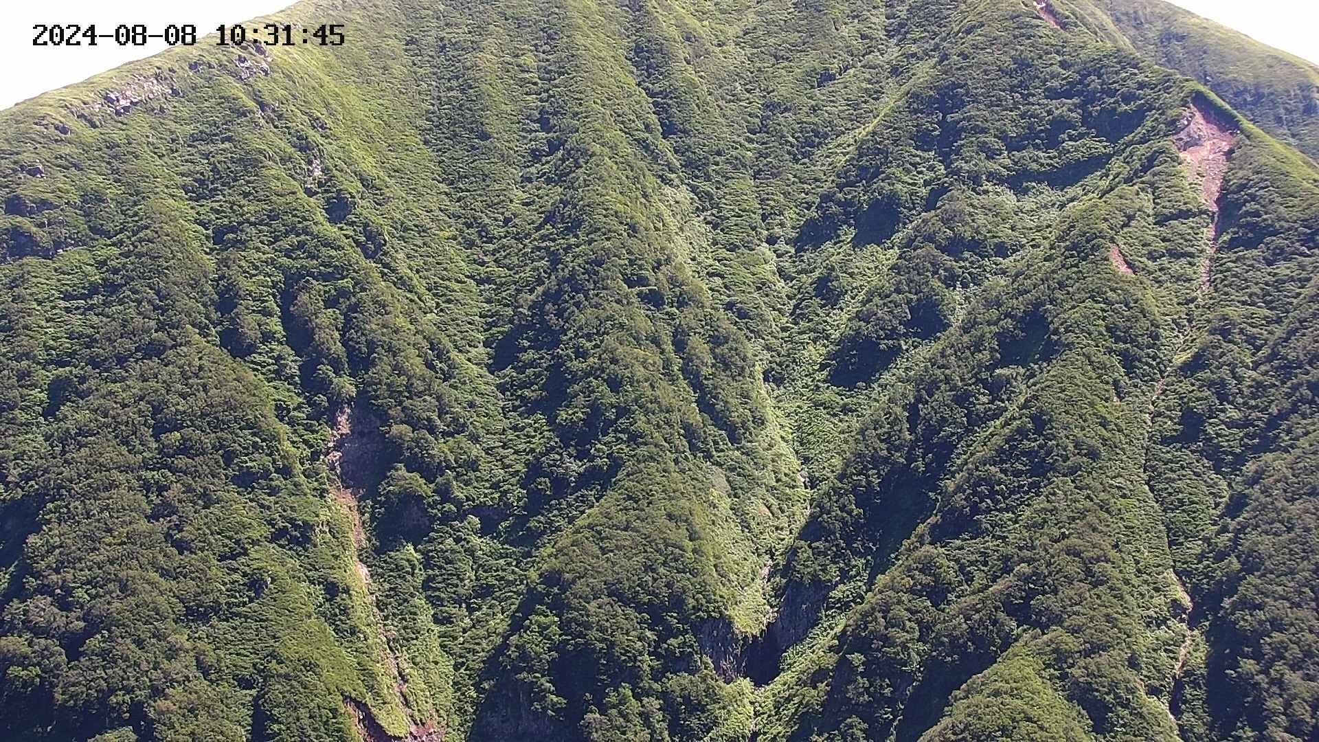 keikoku20240808103147.jpg