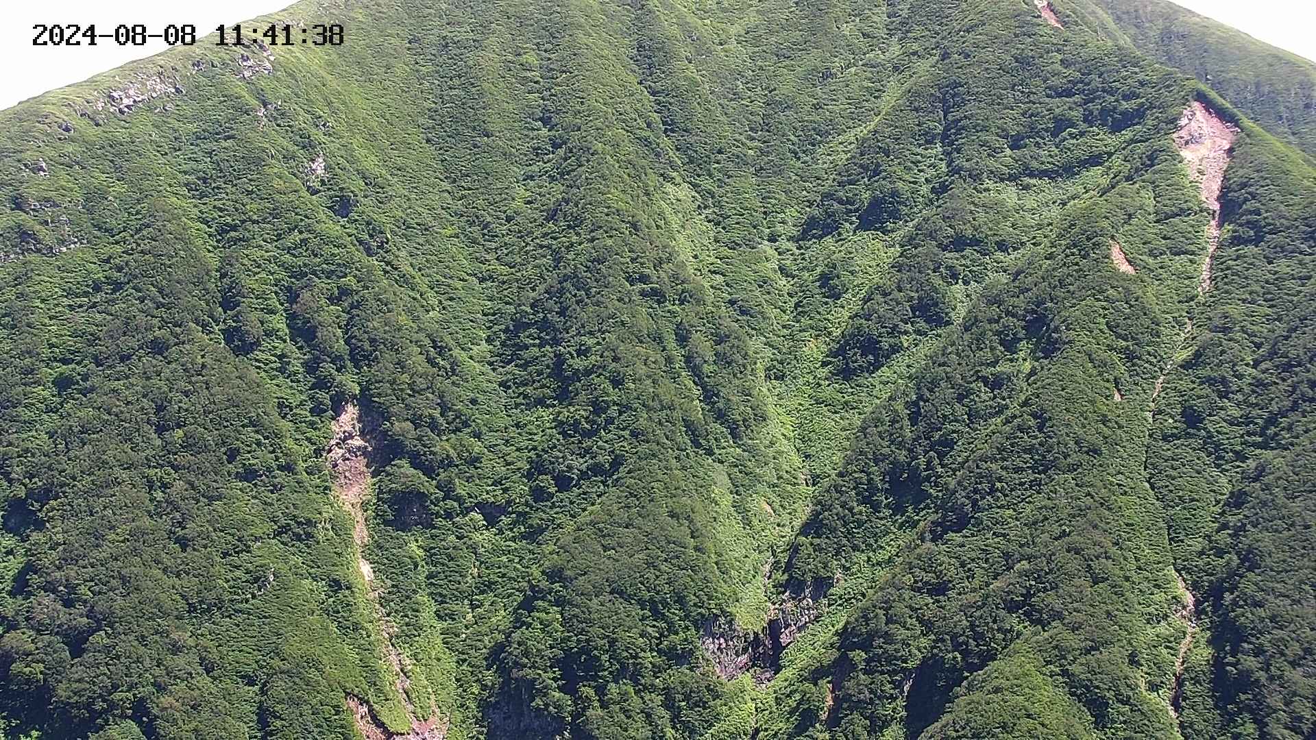 keikoku20240808114140.jpg