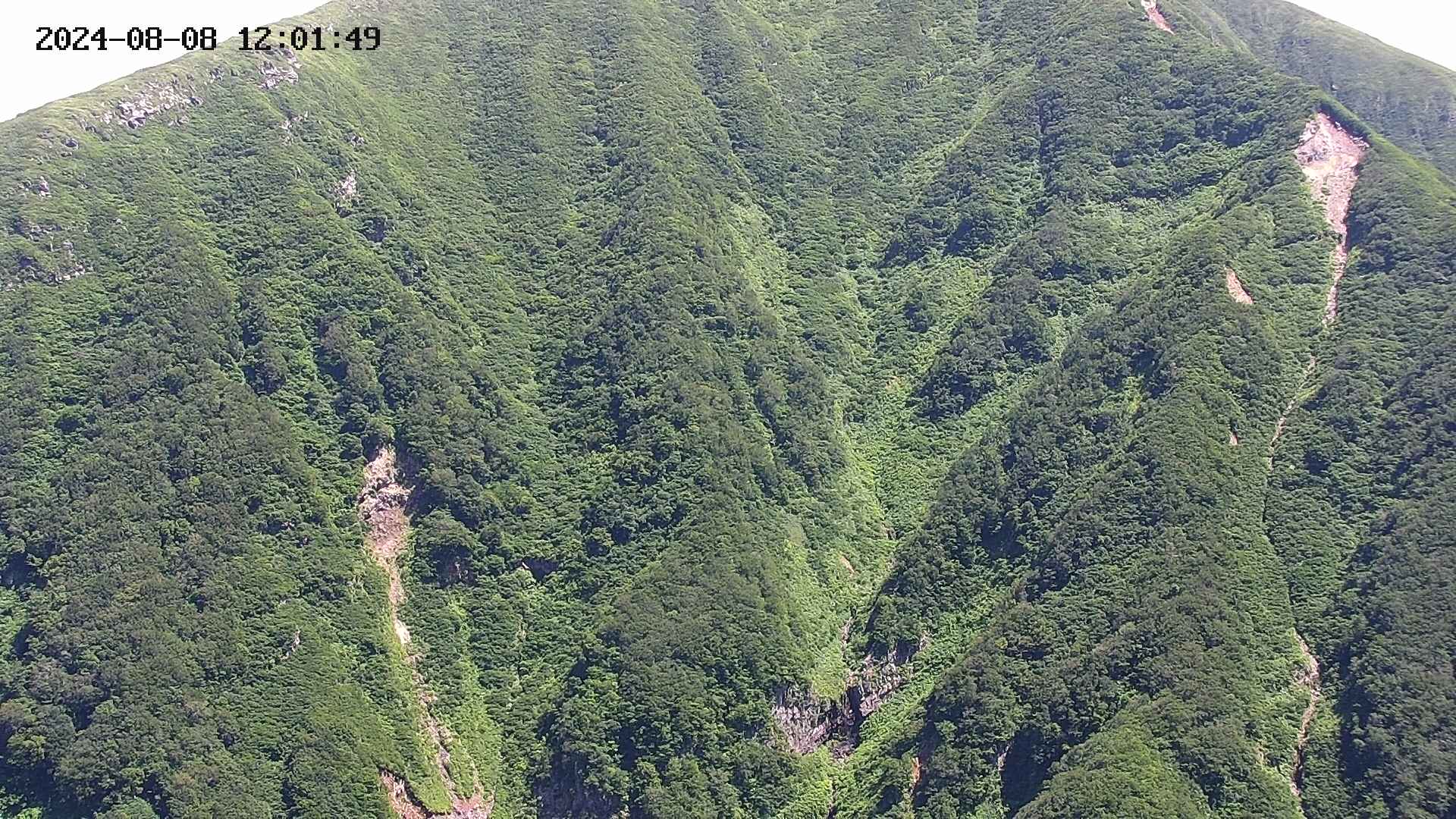 keikoku20240808120151.jpg