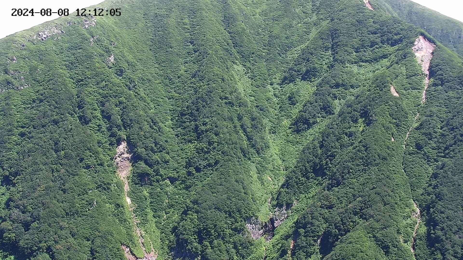 keikoku20240808121207.jpg