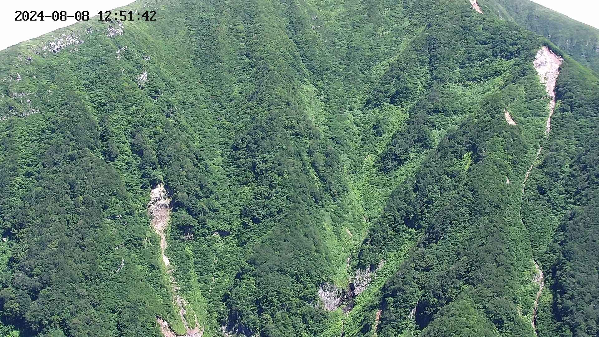 keikoku20240808125144.jpg
