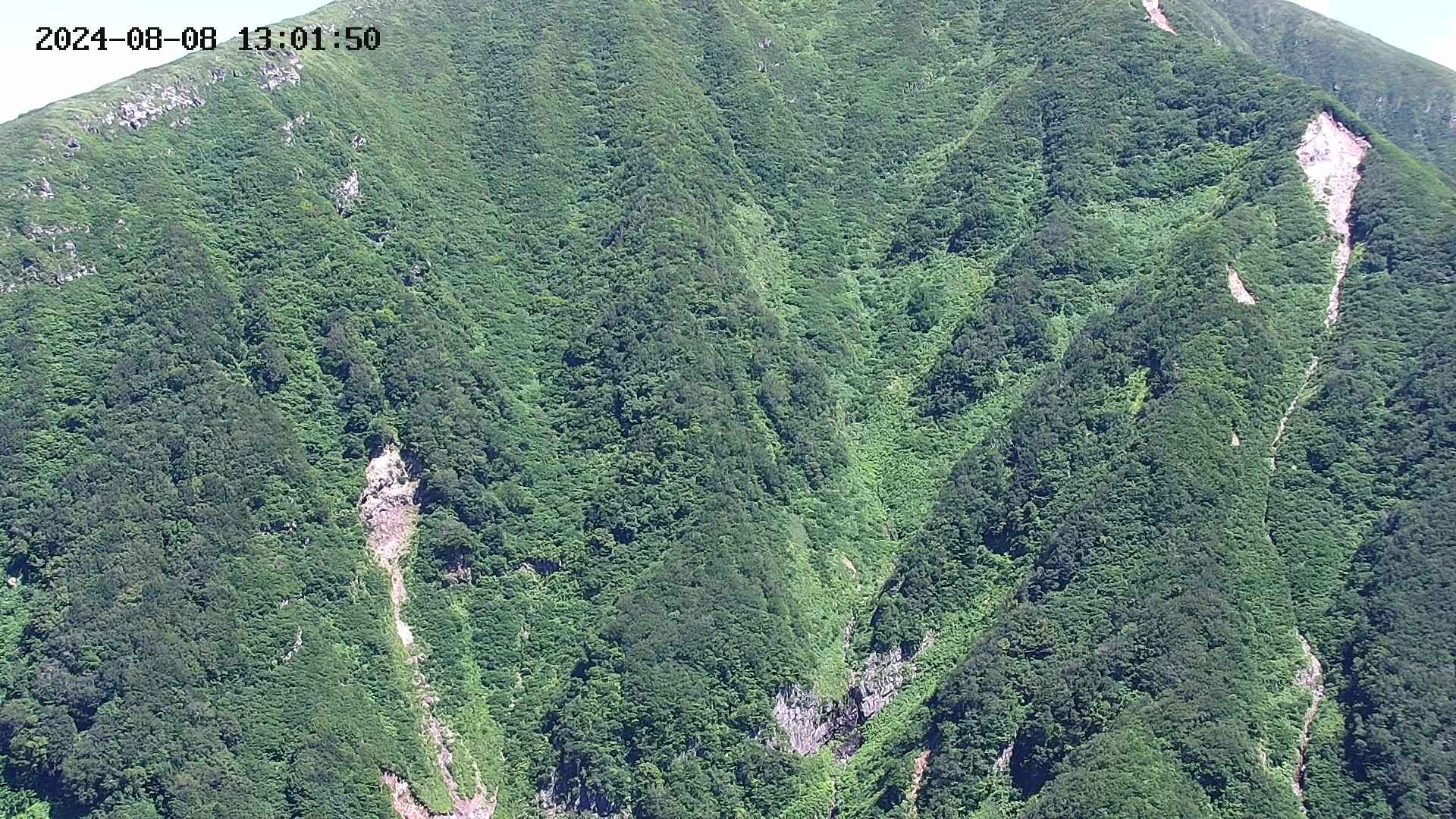 keikoku20240808130152.jpg