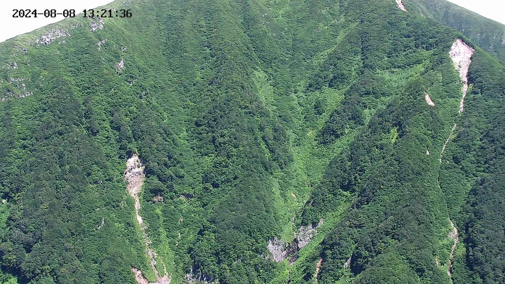 keikoku20240808132138.jpg