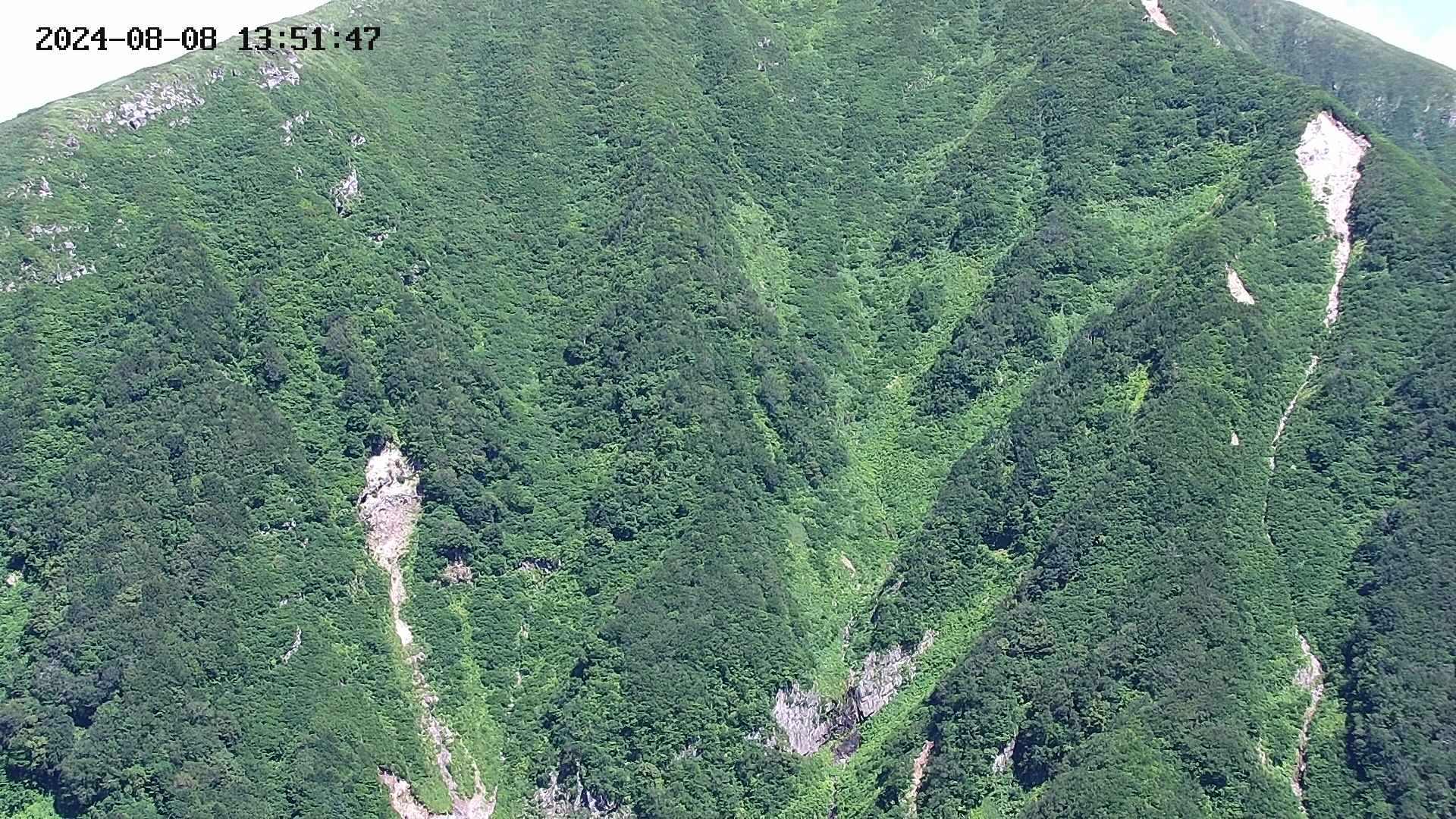 keikoku20240808135149.jpg