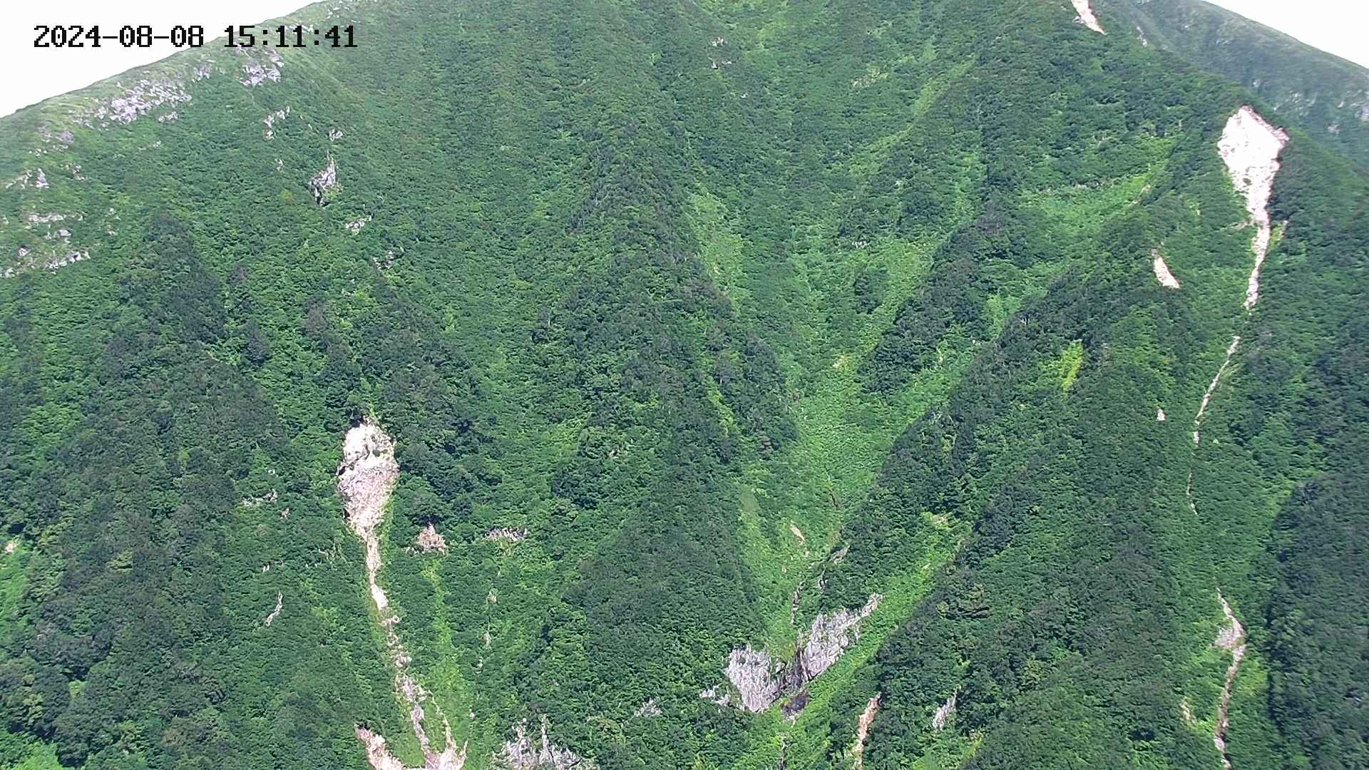 keikoku20240808151143.jpg