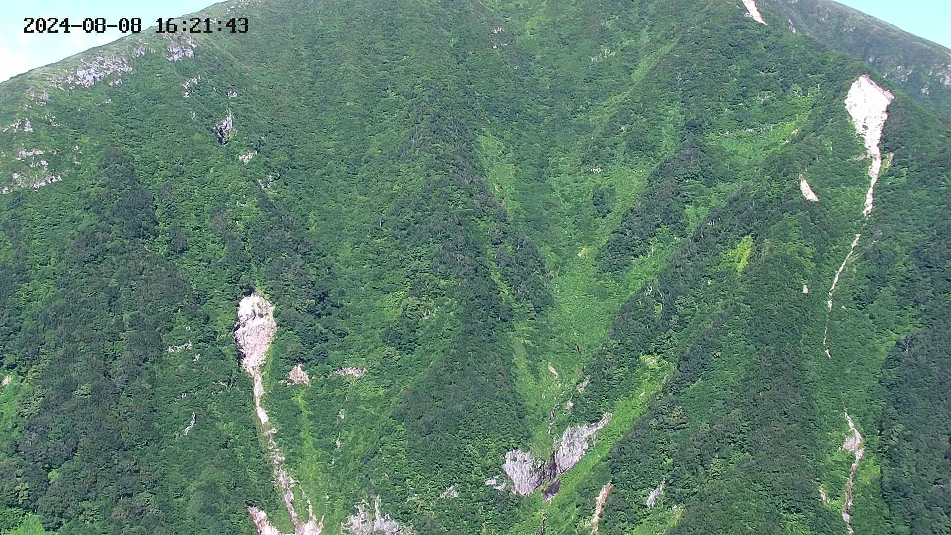 keikoku20240808162145.jpg