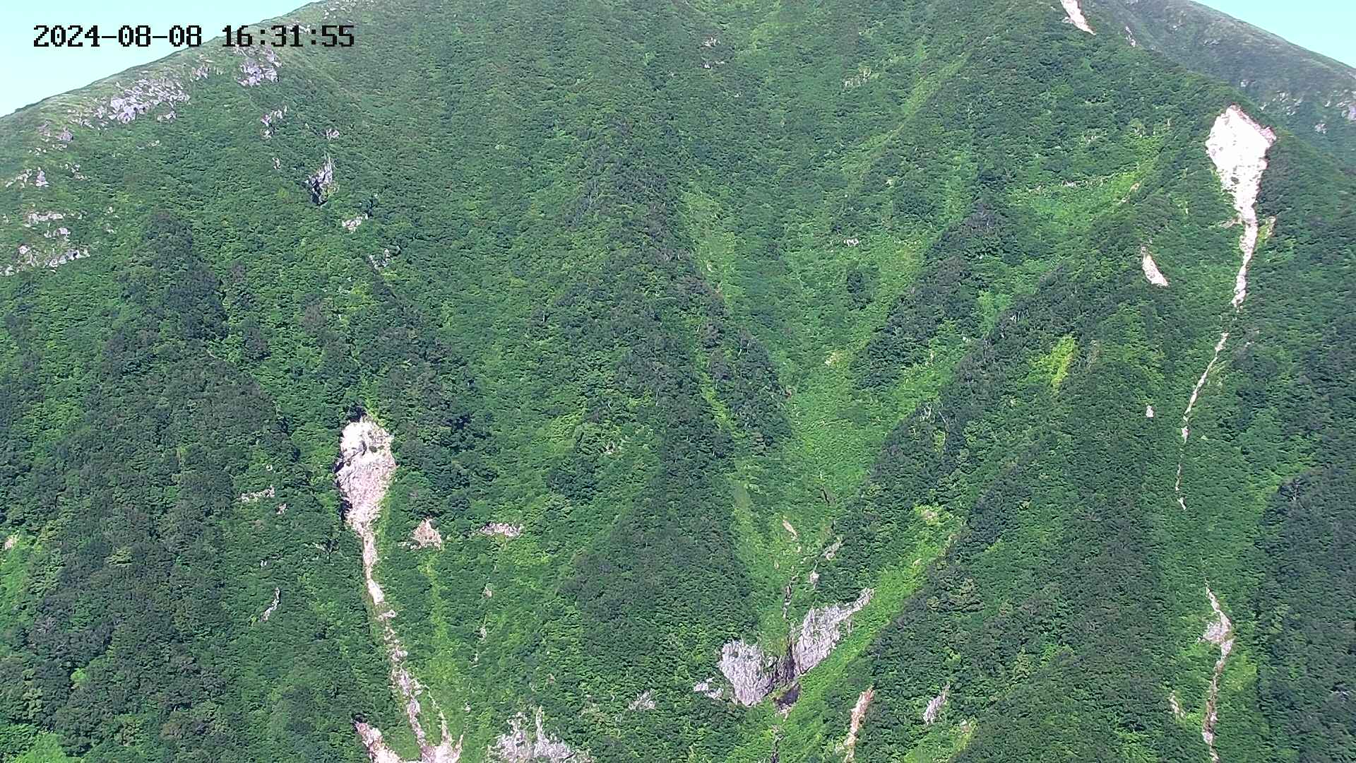 keikoku20240808163157.jpg