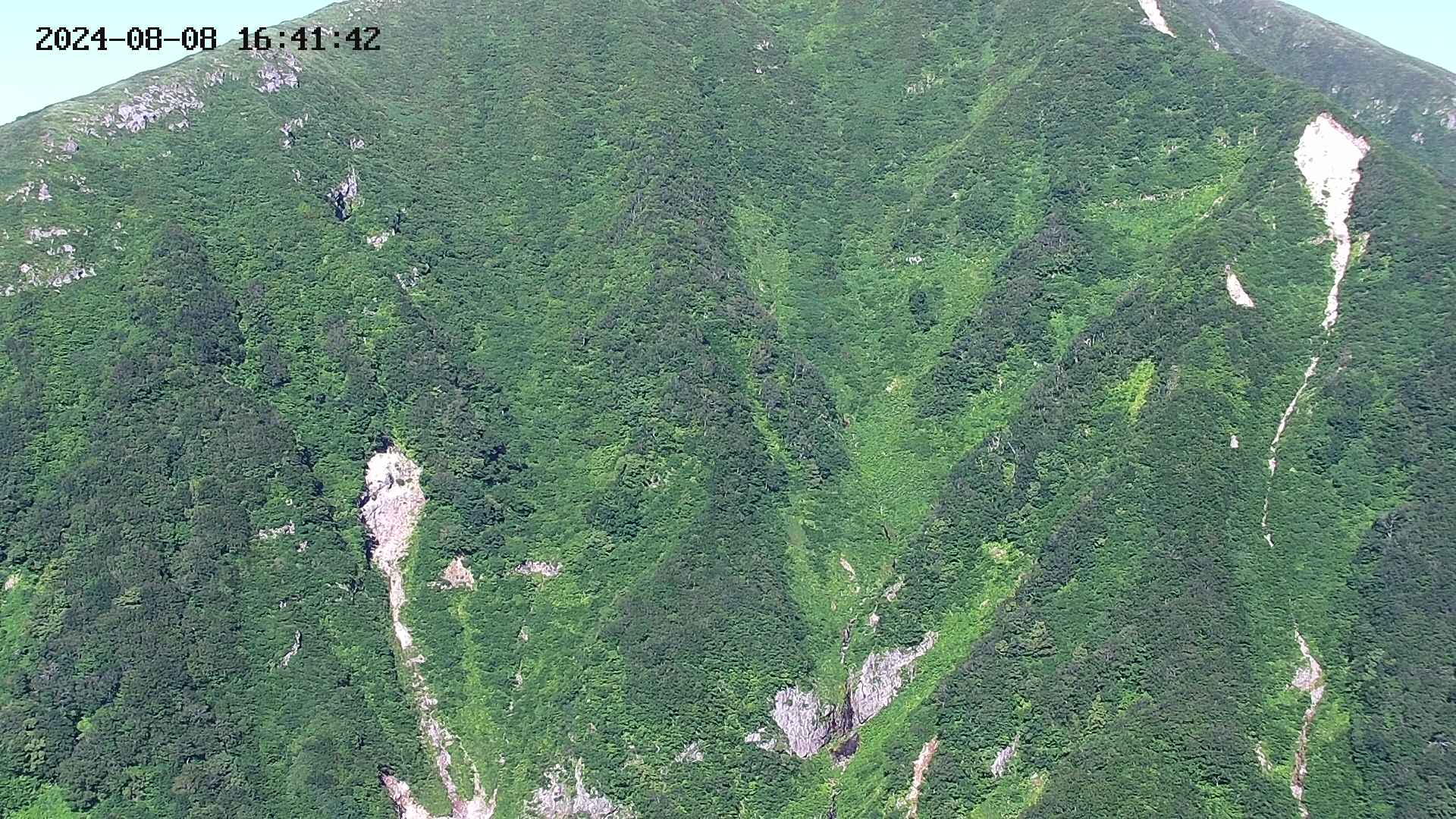 keikoku20240808164145.jpg