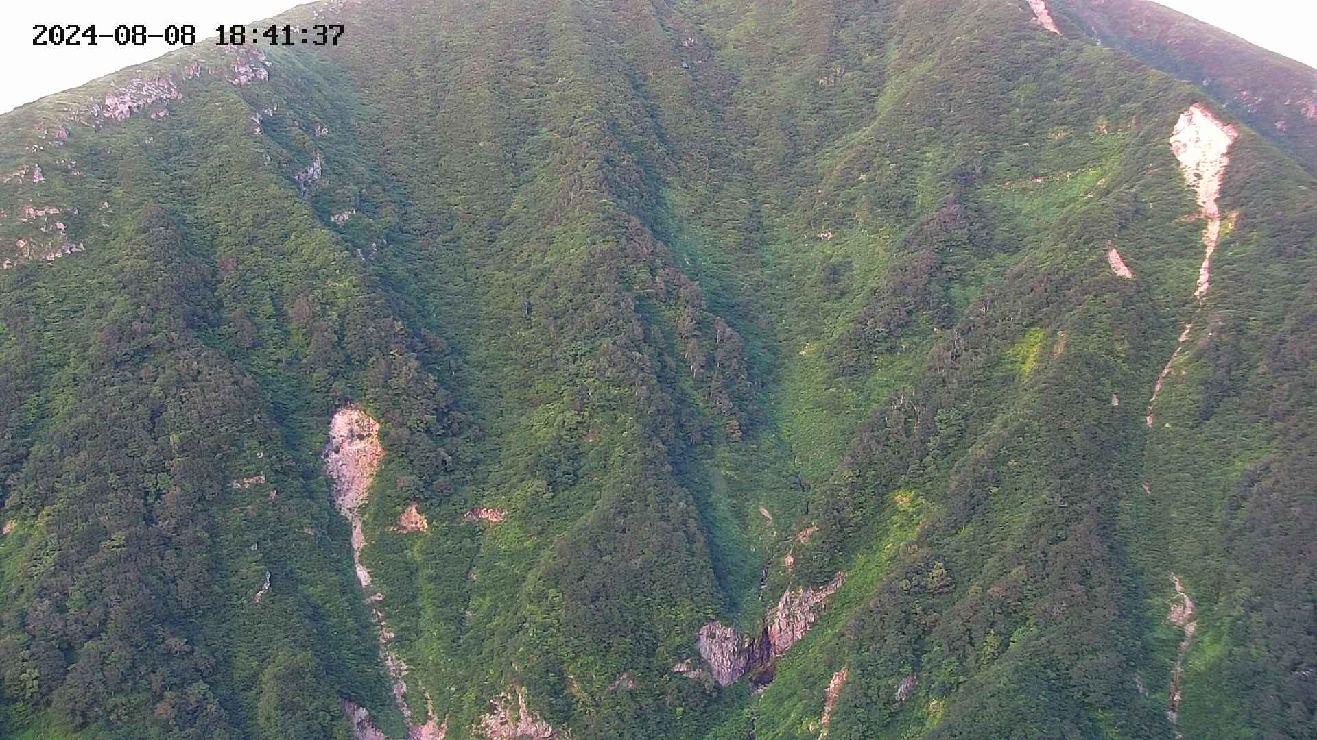 keikoku20240808184139.jpg