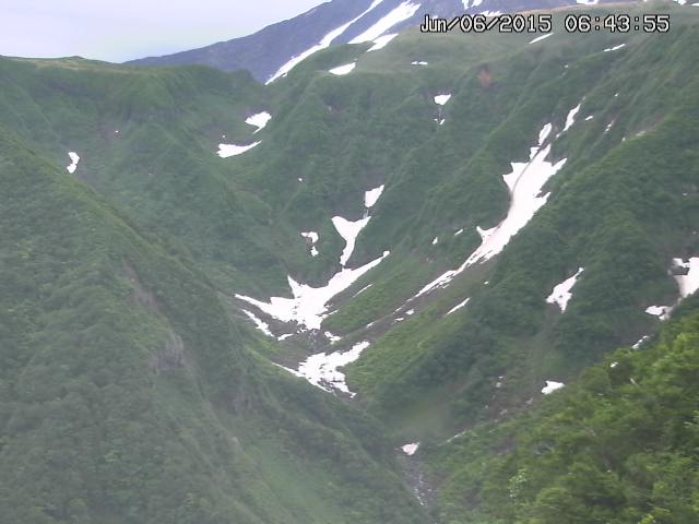 naso20150606064356.jpg