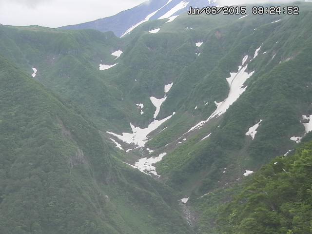 naso20150606082454.jpg