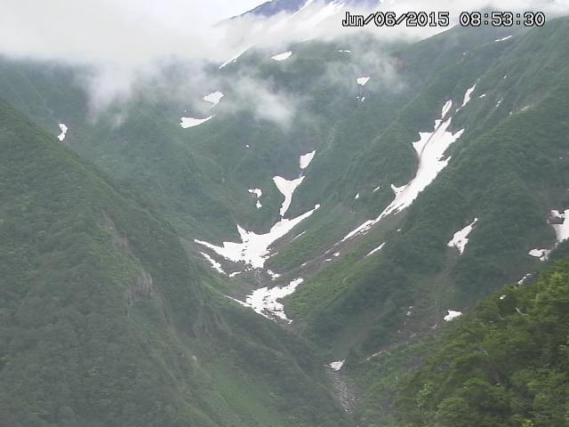 naso20150606085331.jpg