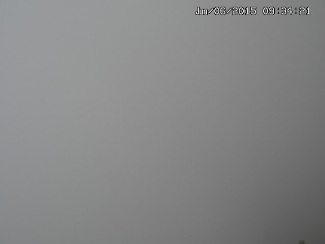 naso20150606093422.jpg