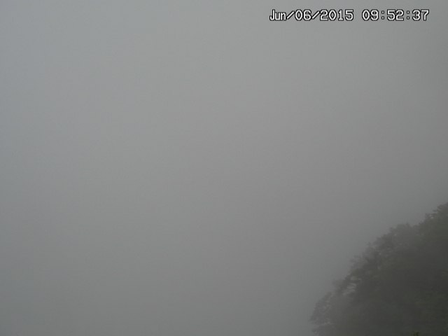 naso20150606095237.jpg