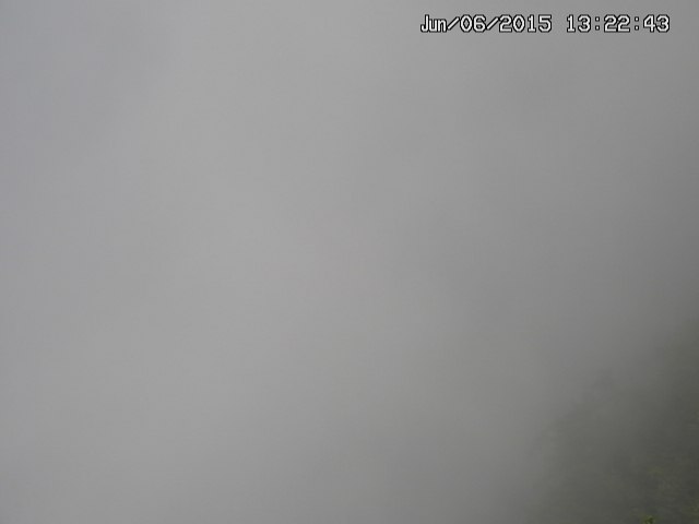 naso20150606132244.jpg