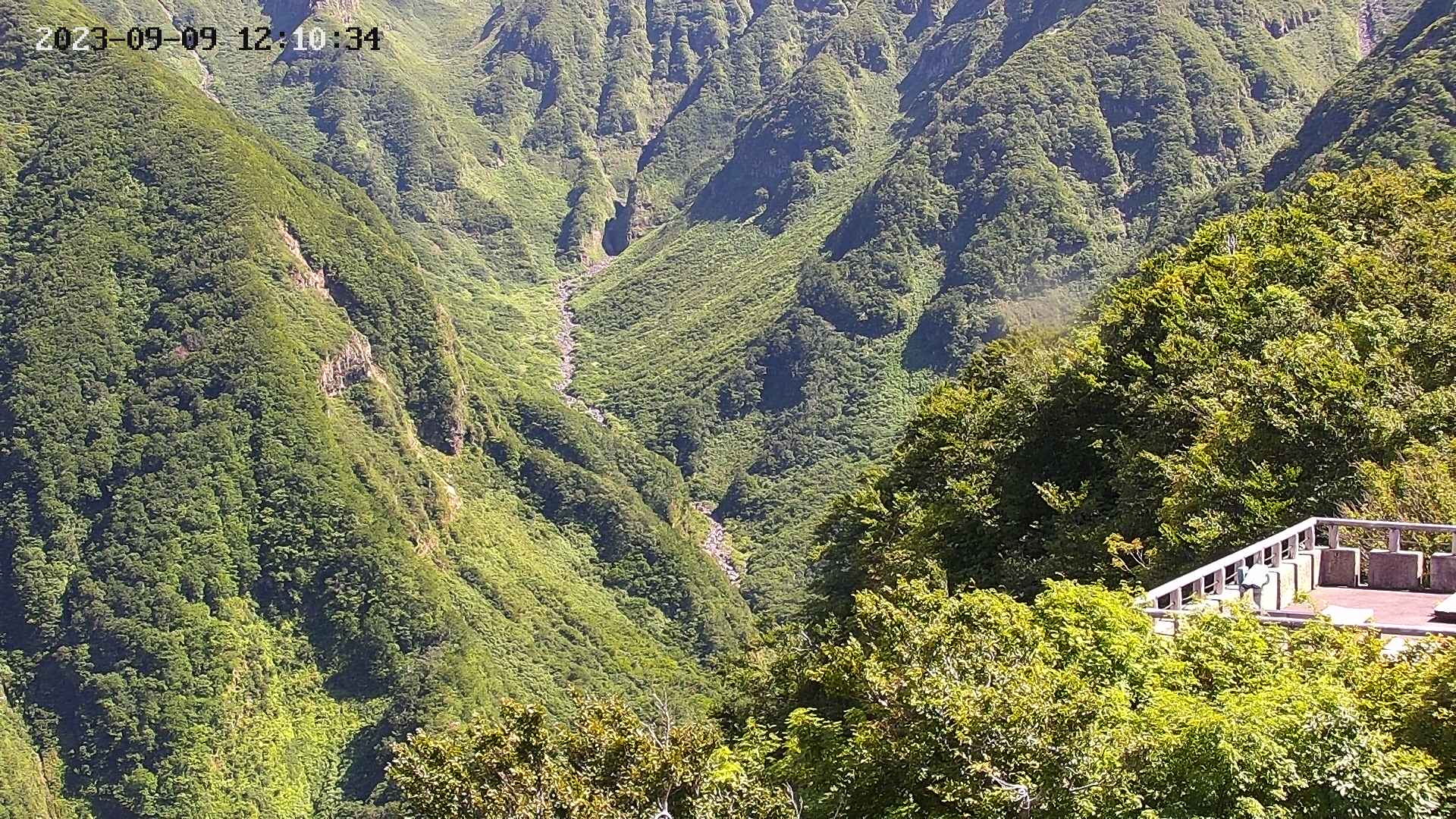 naso20230909121036.jpg