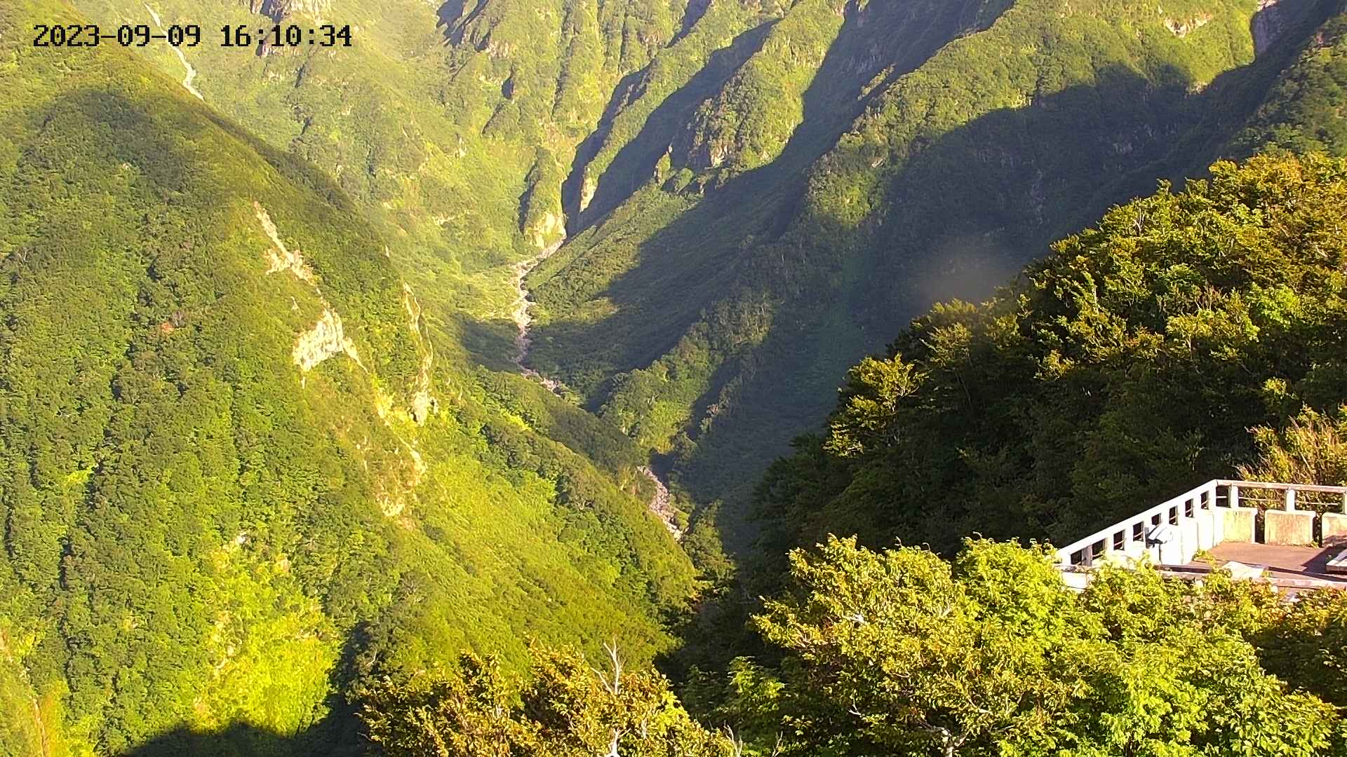 naso20230909161036.jpg