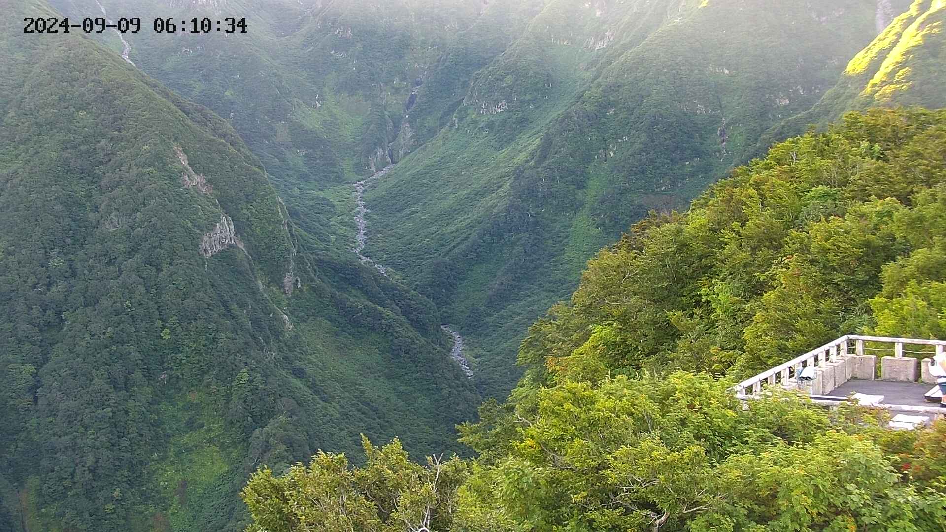 naso20240909061036.jpg