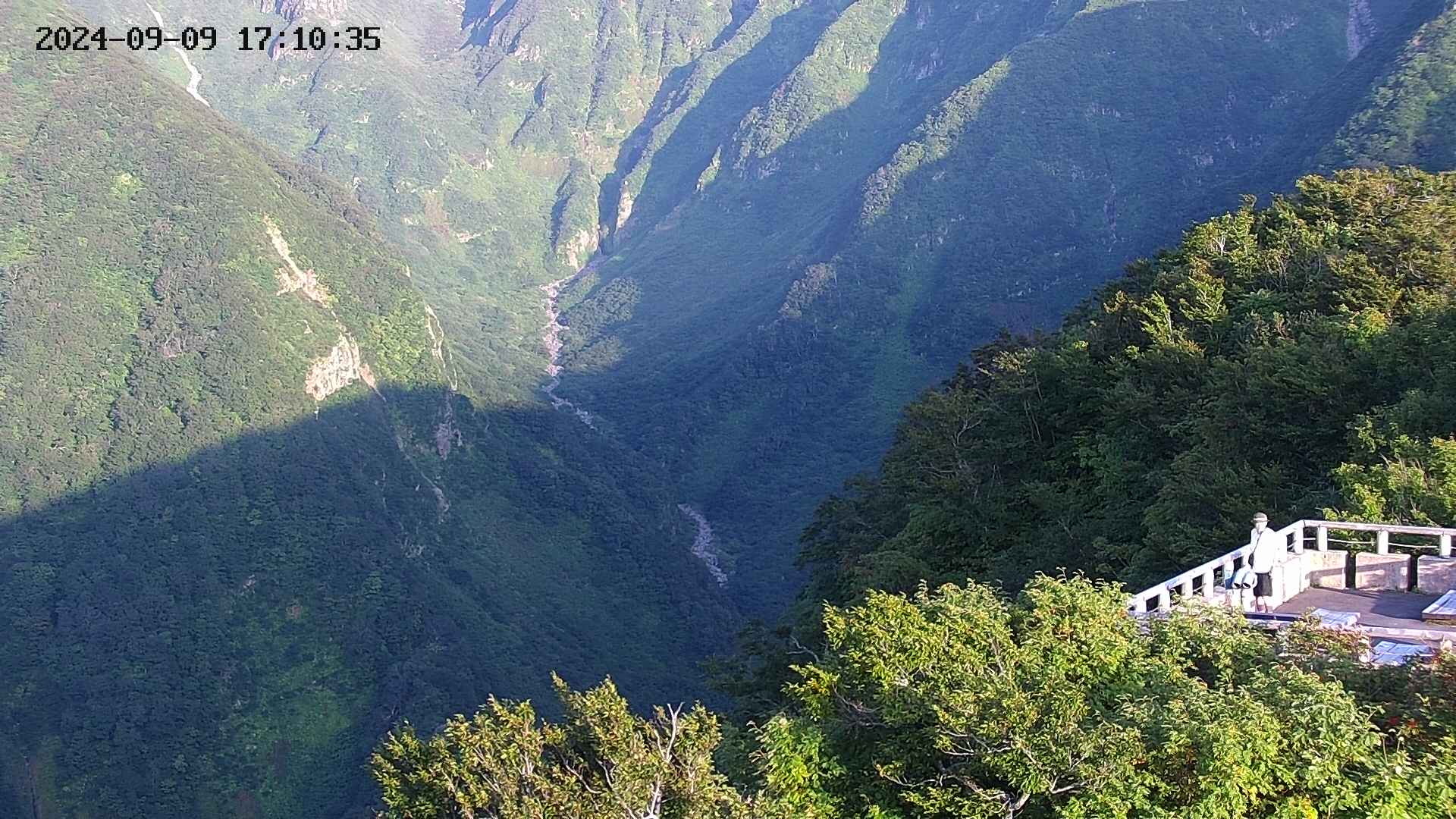 naso20240909171036.jpg