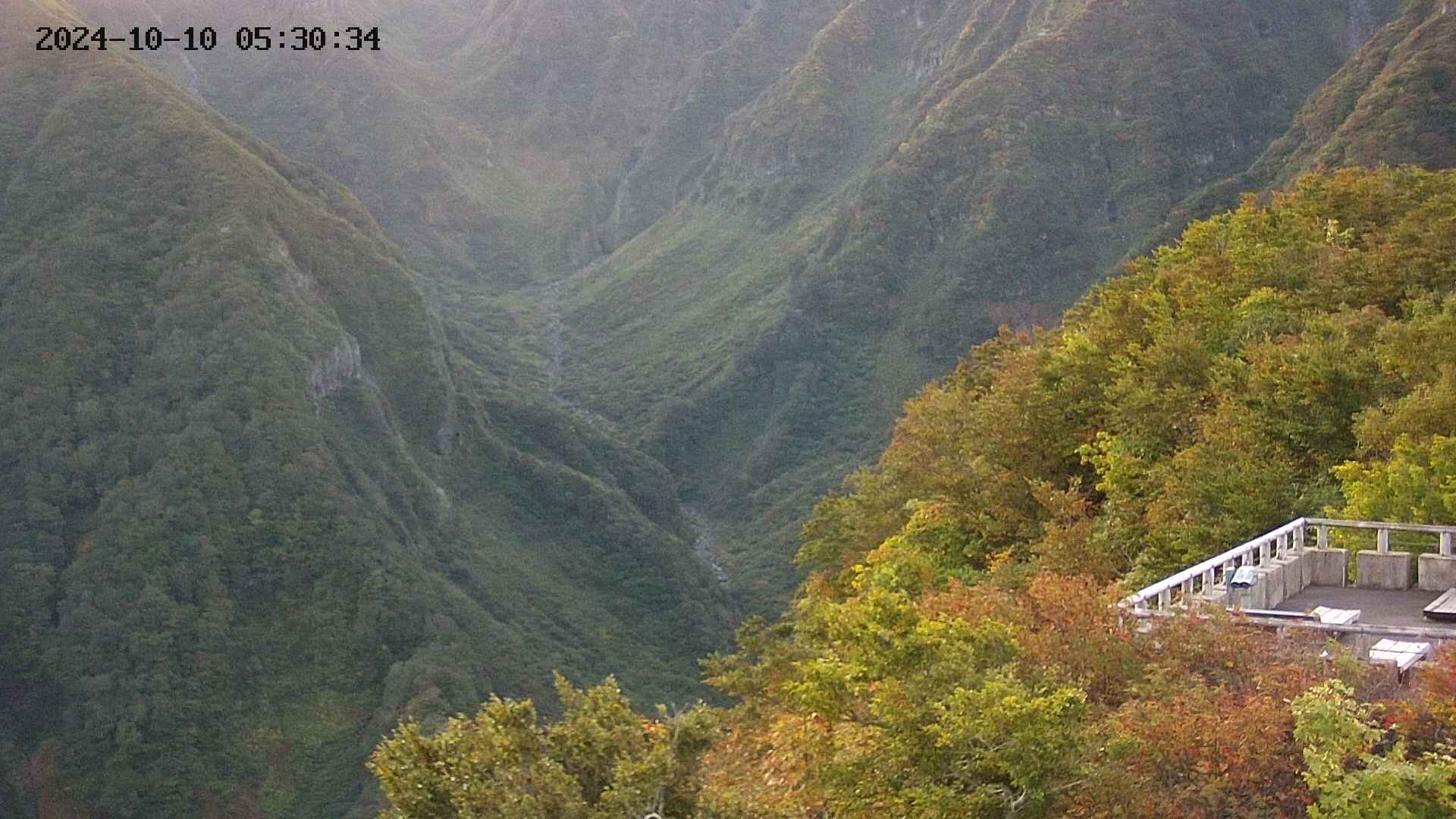 naso20241010053036.jpg