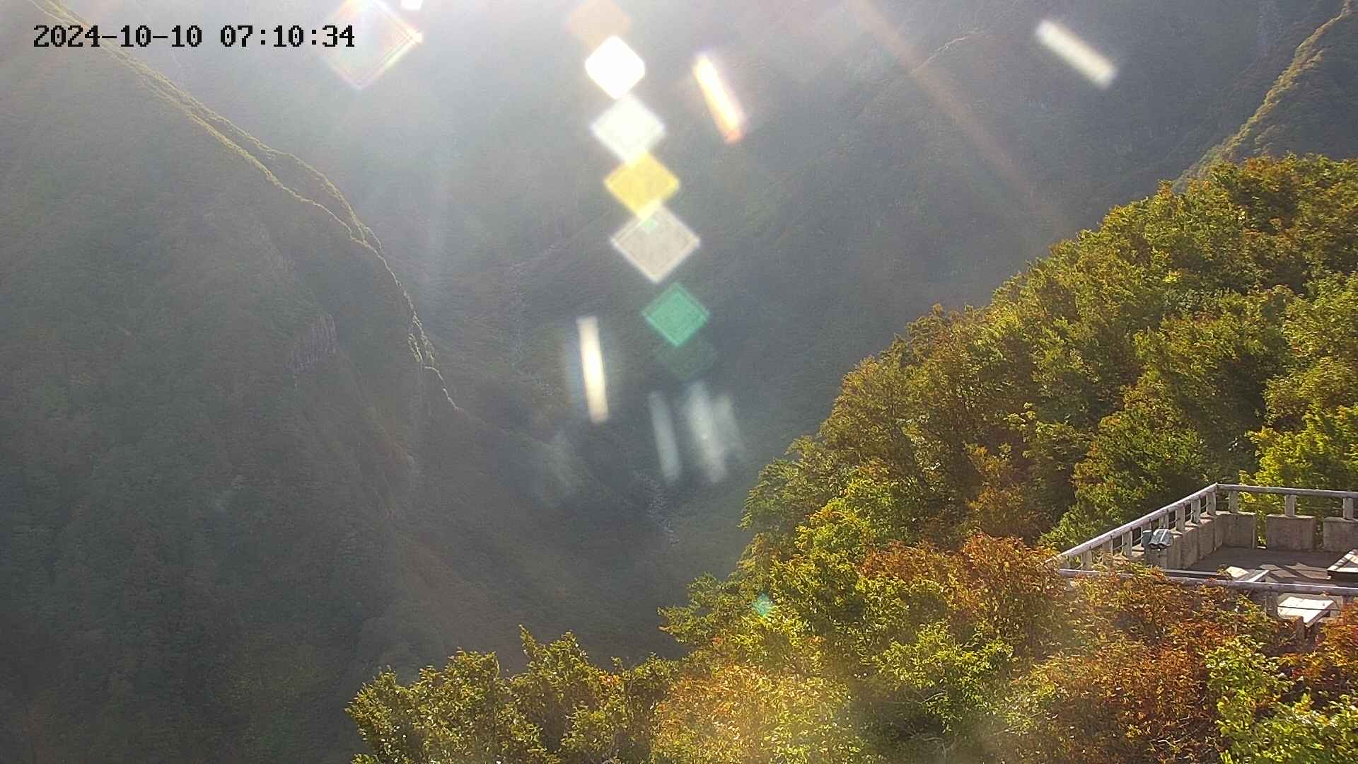 naso20241010071036.jpg