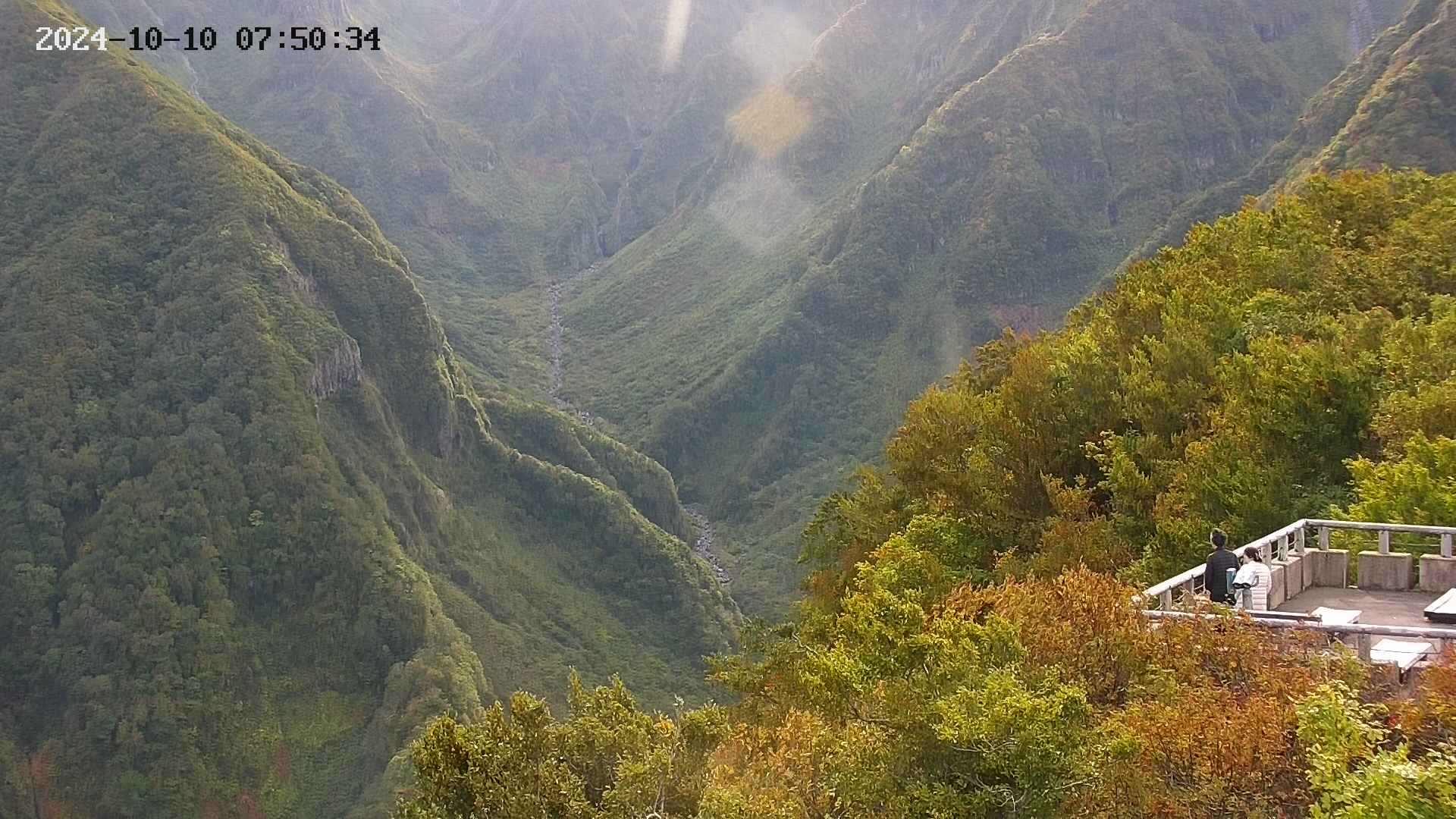 naso20241010075036.jpg
