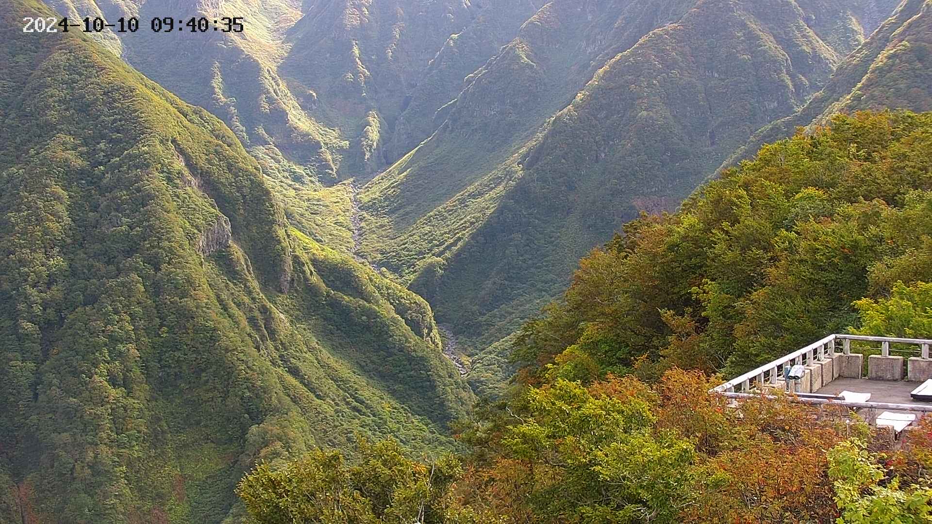 naso20241010094036.jpg