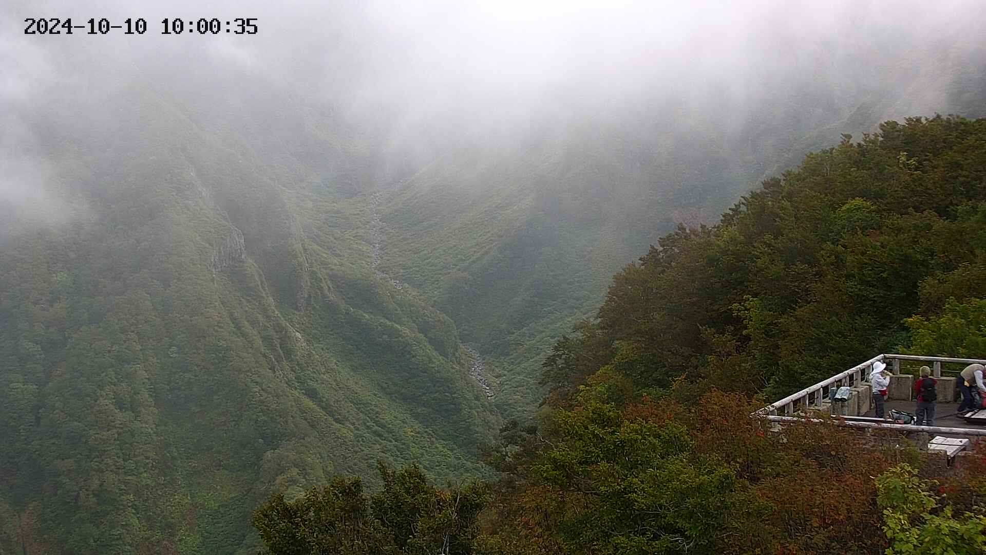 naso20241010100036.jpg