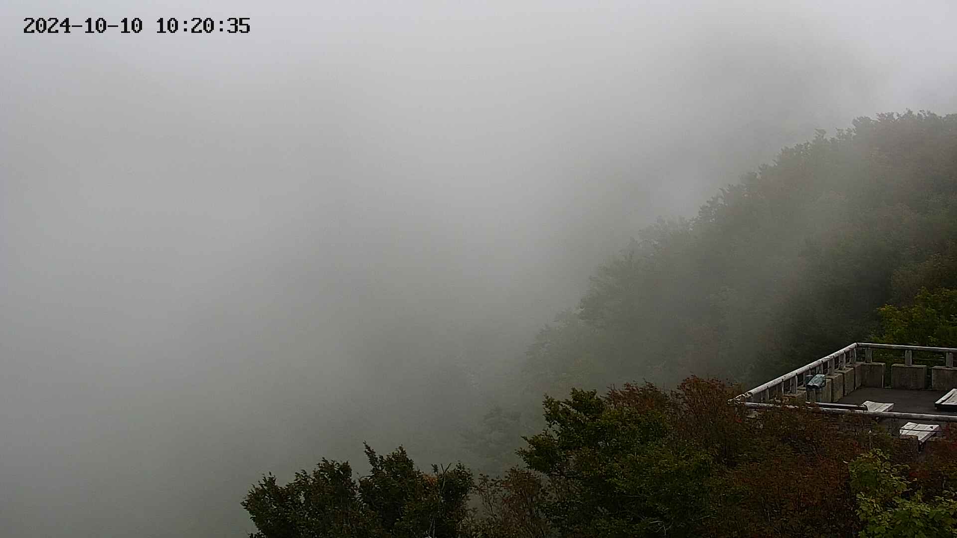 naso20241010102036.jpg
