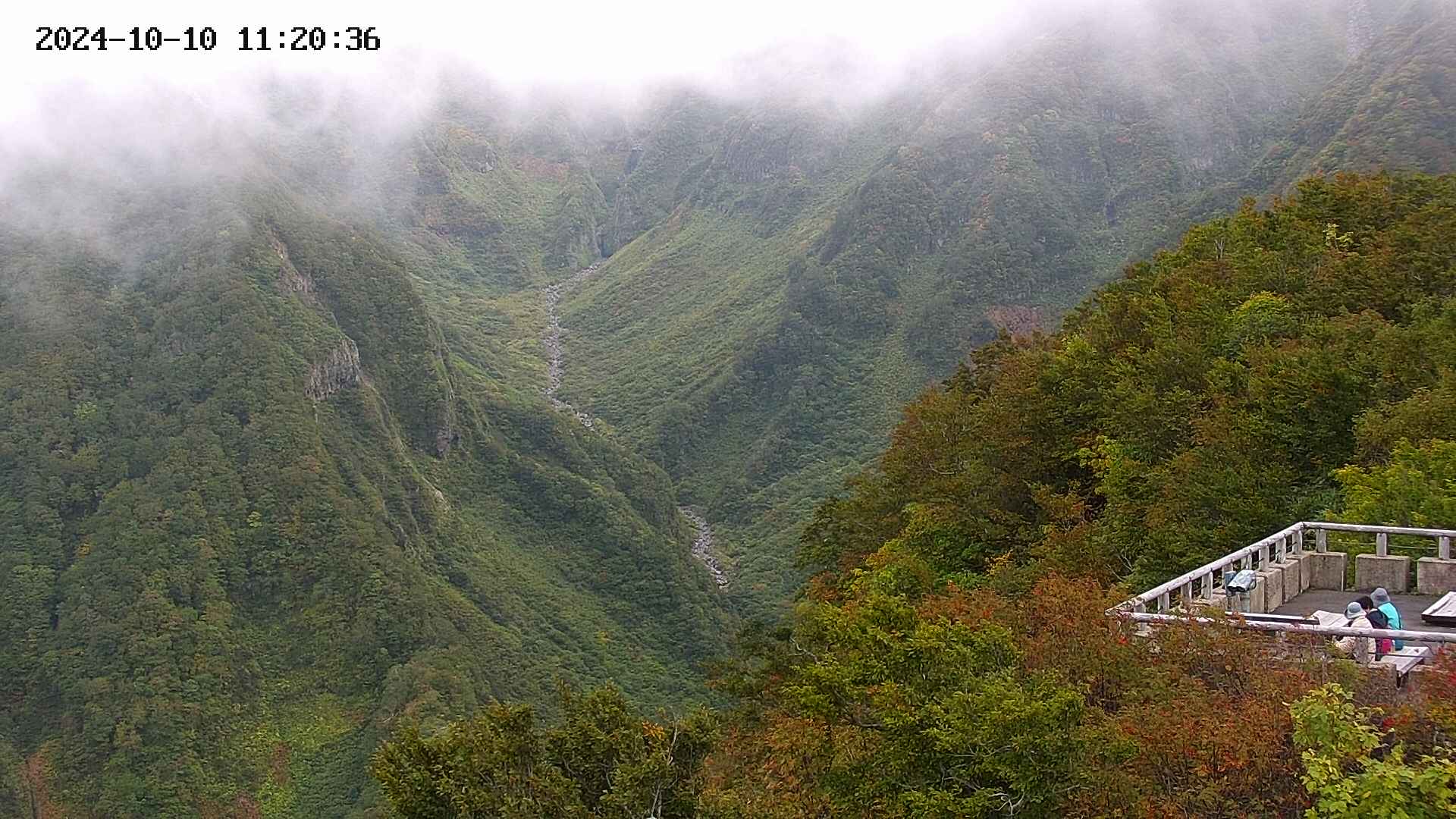 naso20241010112037.jpg