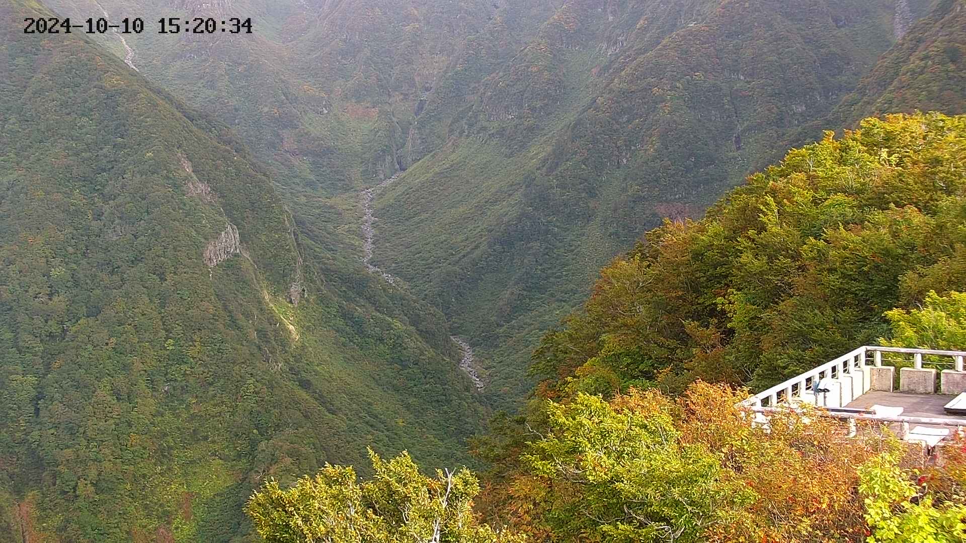 naso20241010152035.jpg