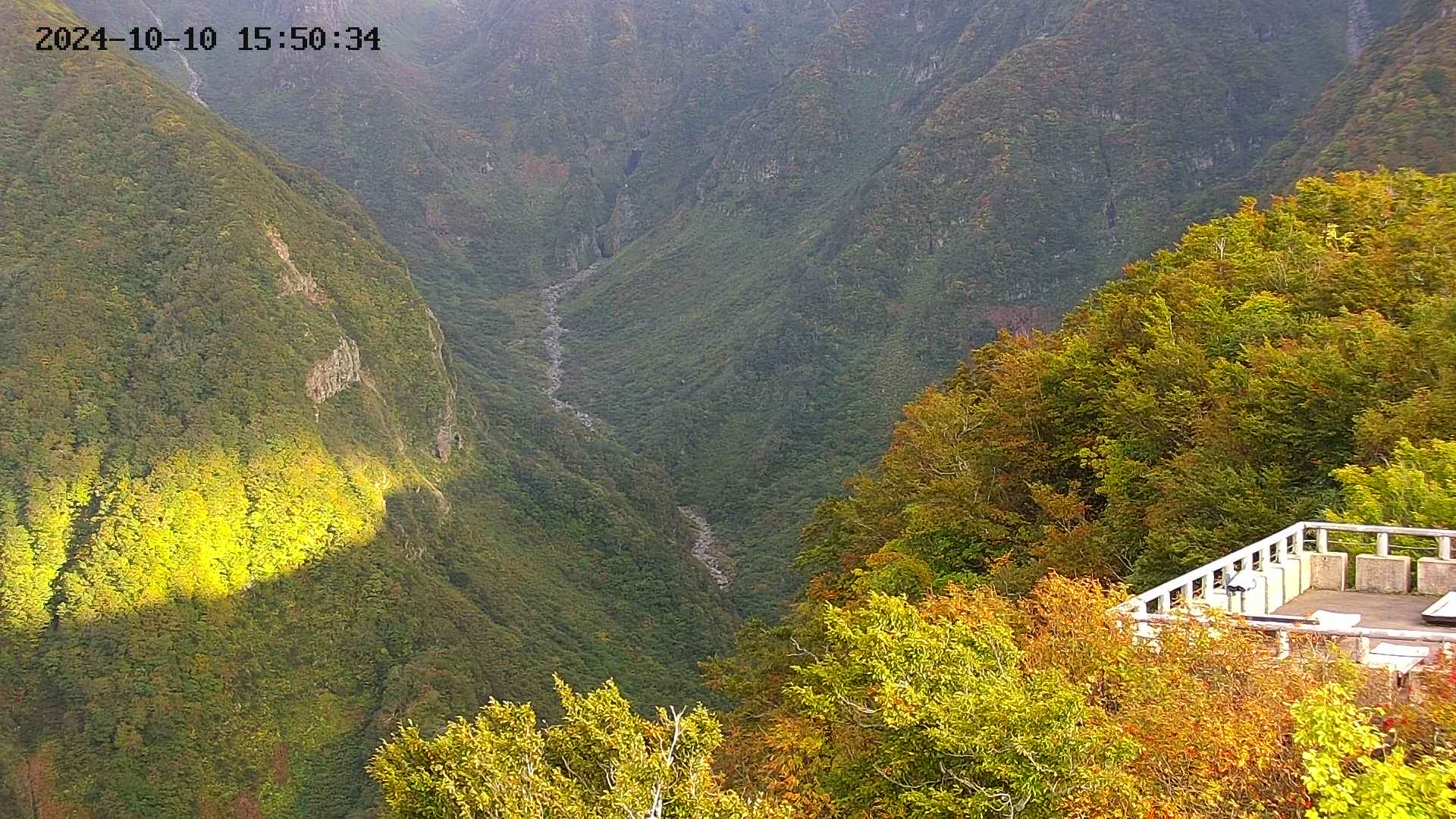 naso20241010155036.jpg