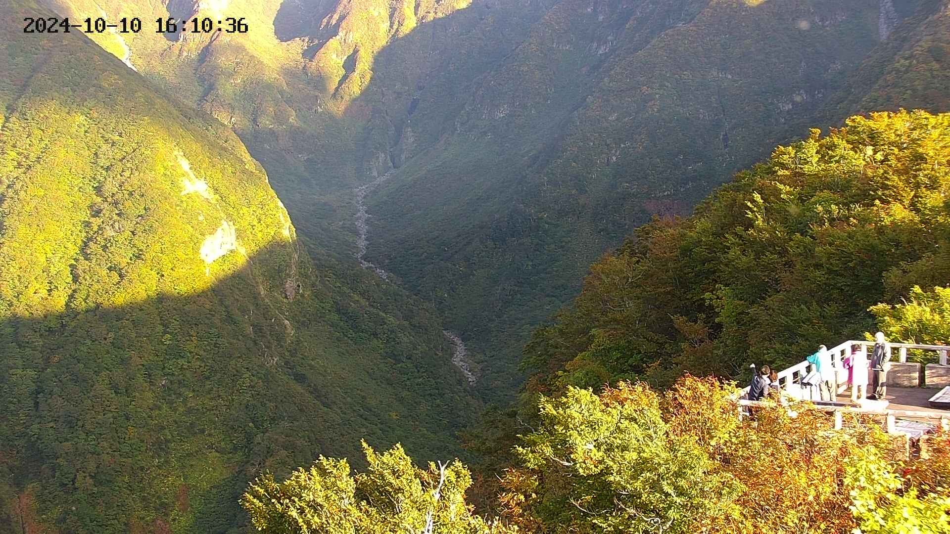 naso20241010161038.jpg